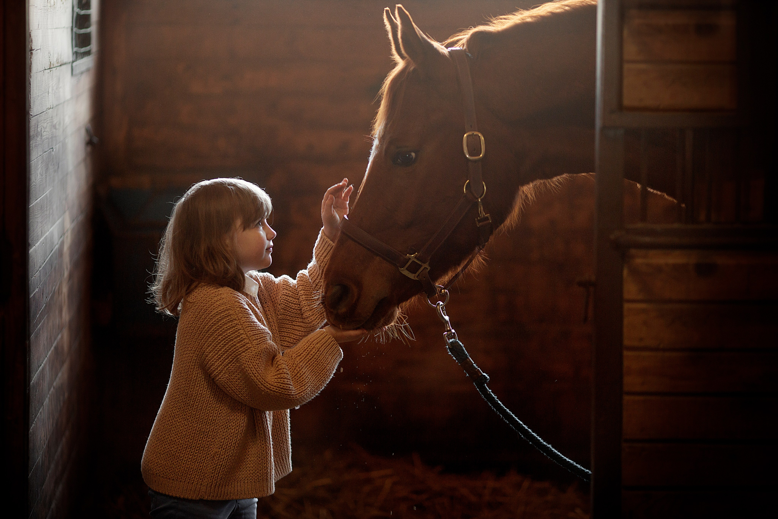 Портфолио. Карнеева Елена. Детский, семейный фотограф