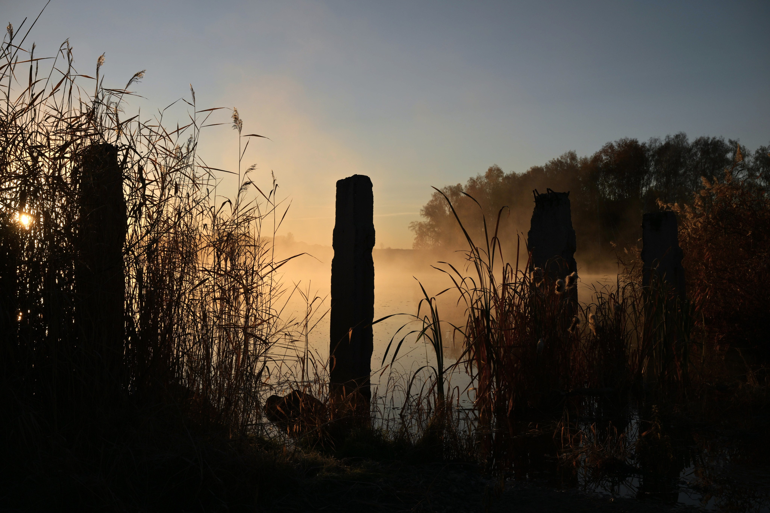 Курганская область. Портретный фотограф в Челябинске Катерина Руди