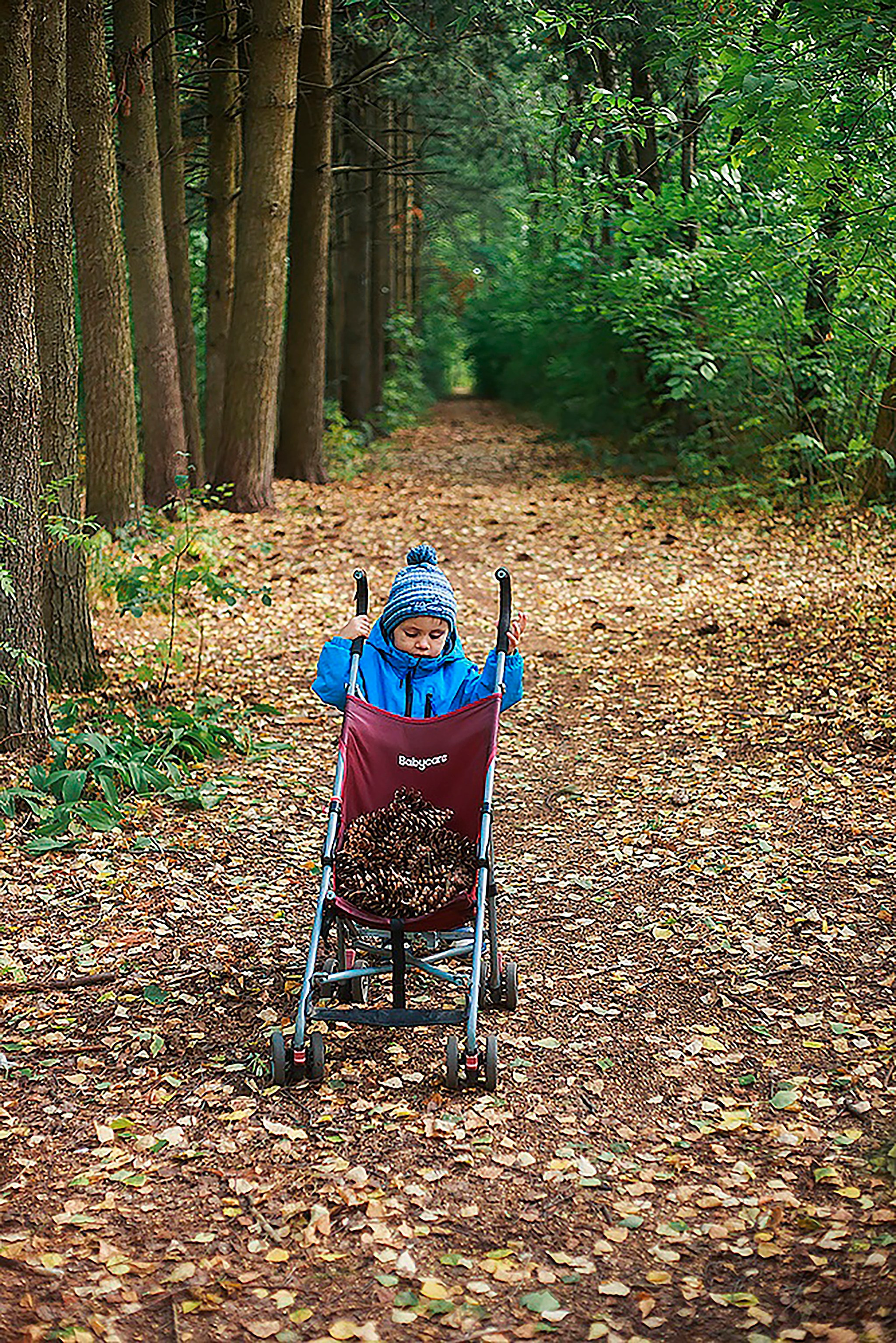 Дендрарий. Детский и семейный фотограф, фотограф мероприятий Нижний Новгород