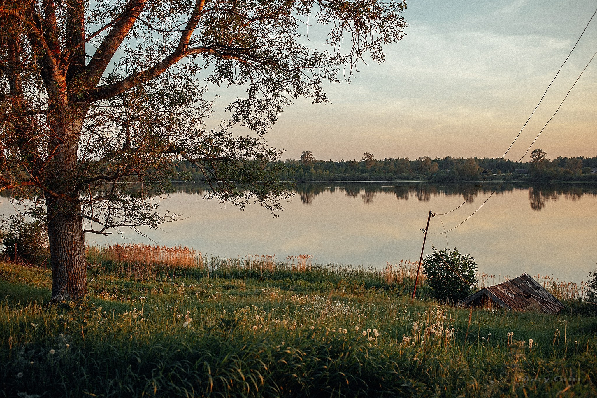 Русская деревня. Детский и семейный фотограф, фотограф мероприятий Нижний Новгород