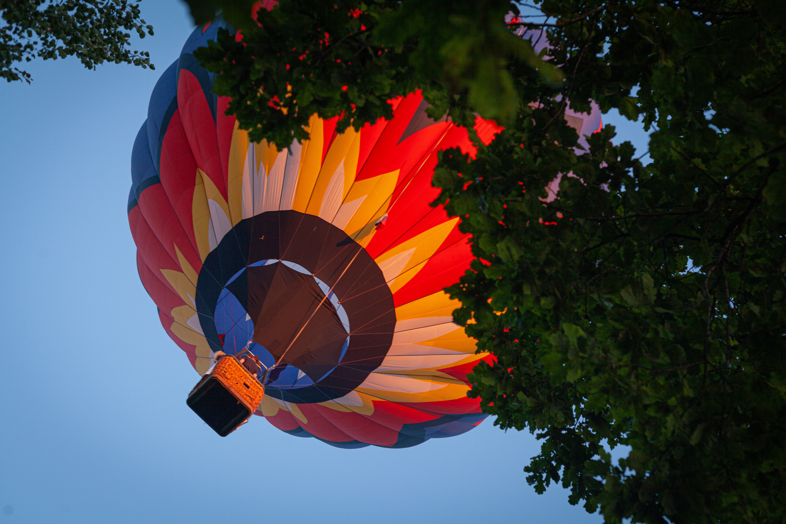 МВВвВЛ-2019. Фотограф Кирилл Сафонов