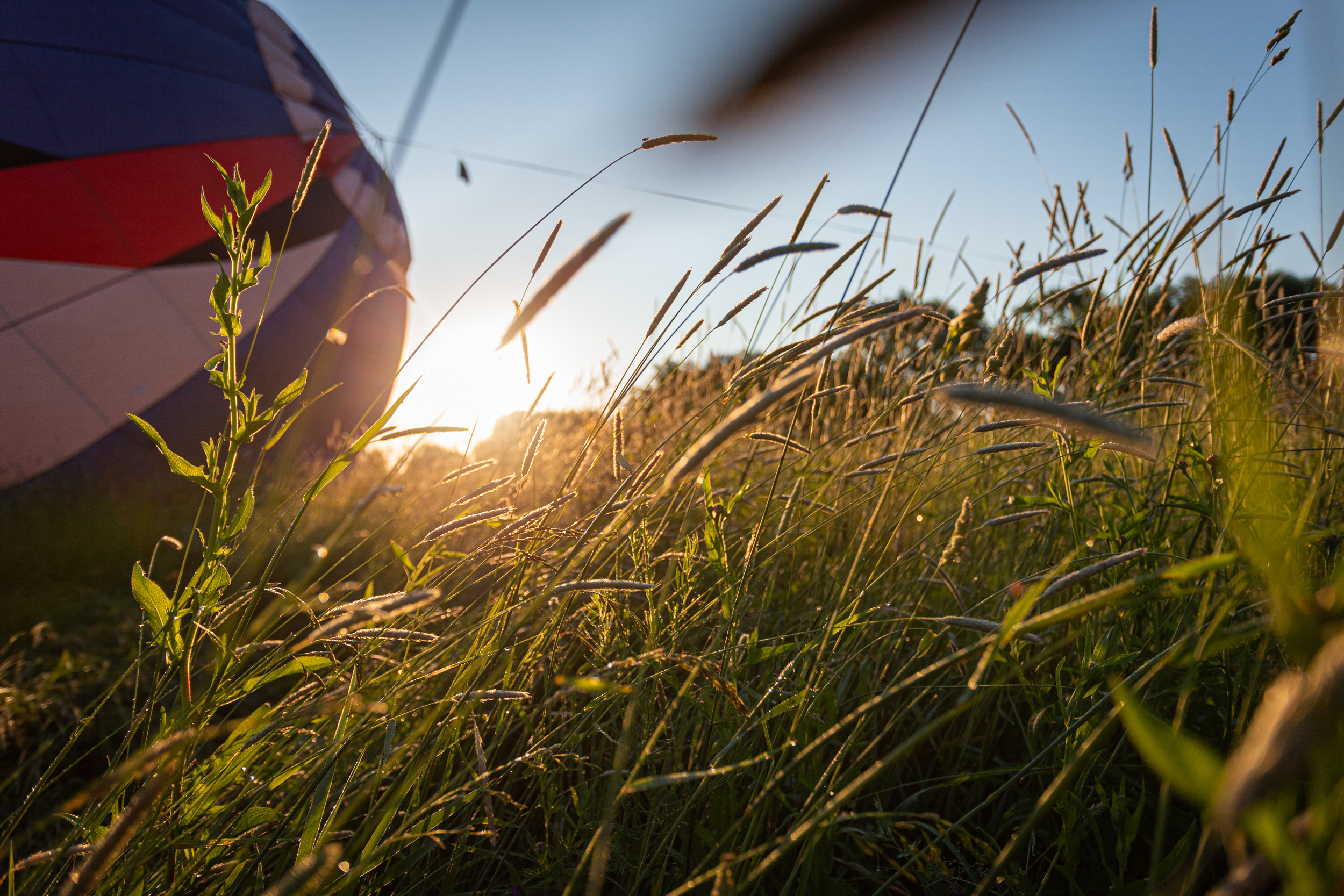 МВВвВЛ-2019. Фотограф Кирилл Сафонов