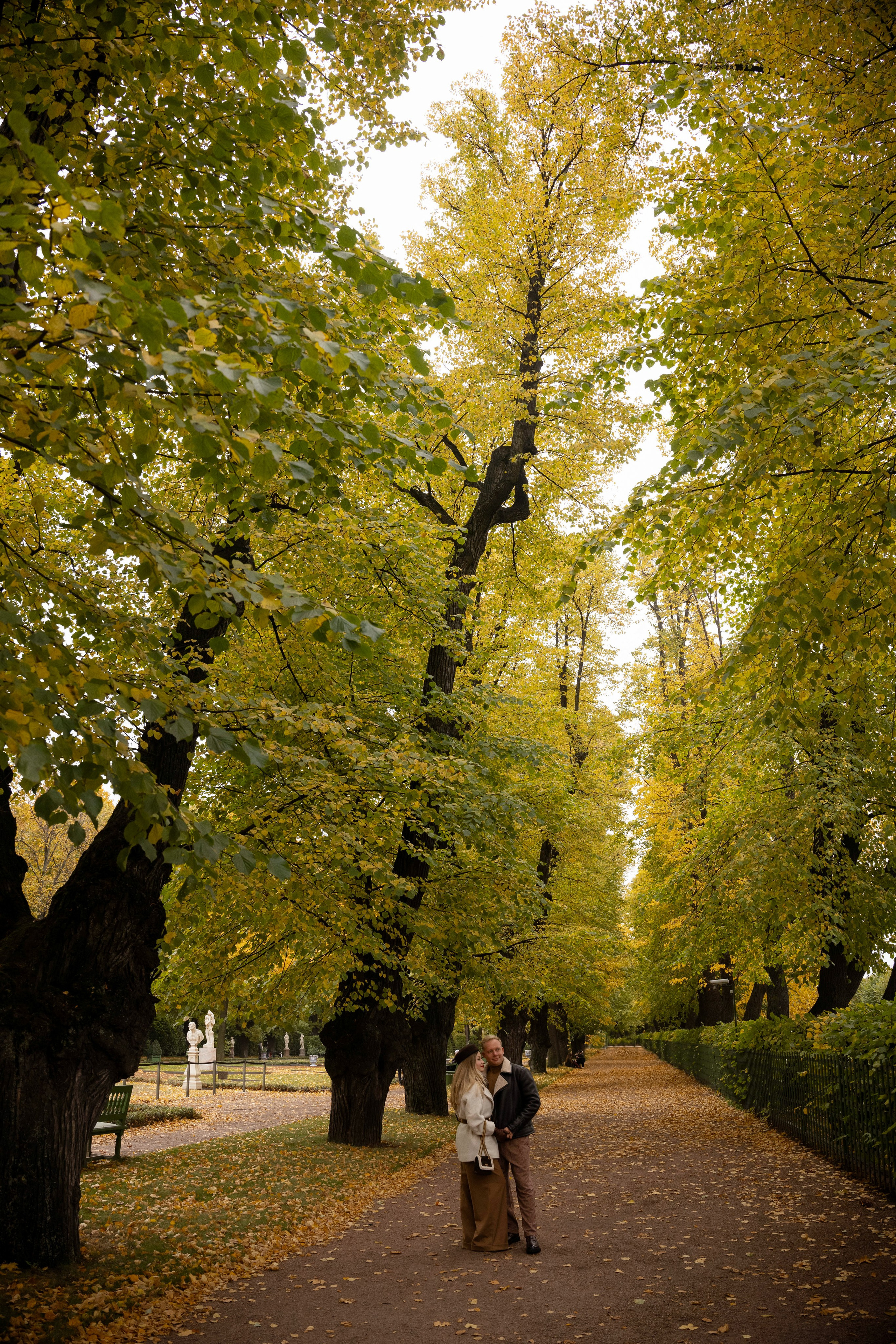 Алина и Никита. Свадебный и портретный фотограф