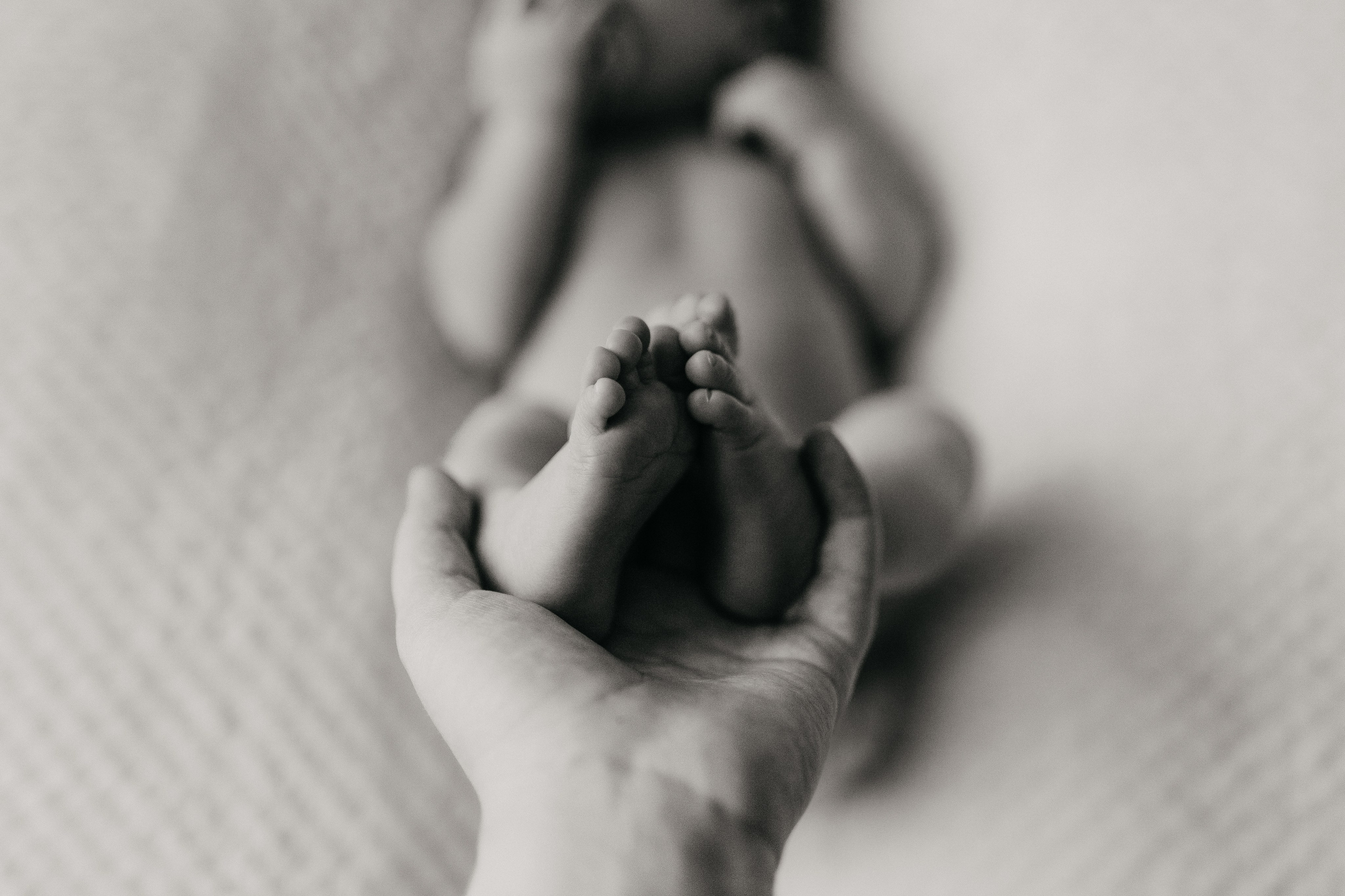 New born. Семейный и портретный фотограф в Санкт-Петербурге Владислава Бычкова