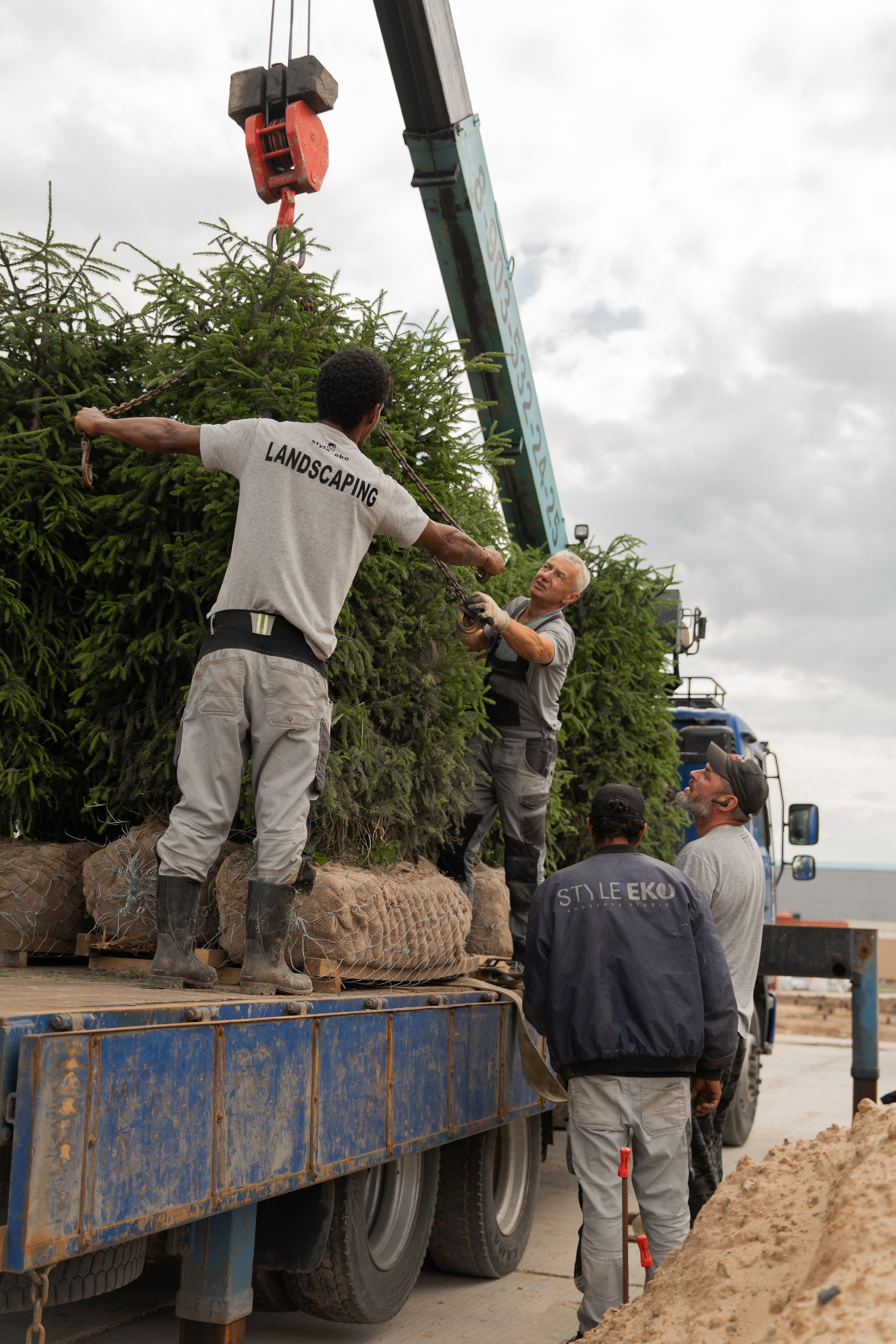 Этап ландшафтных работ. Автомобильный фотограф Светлана Усова