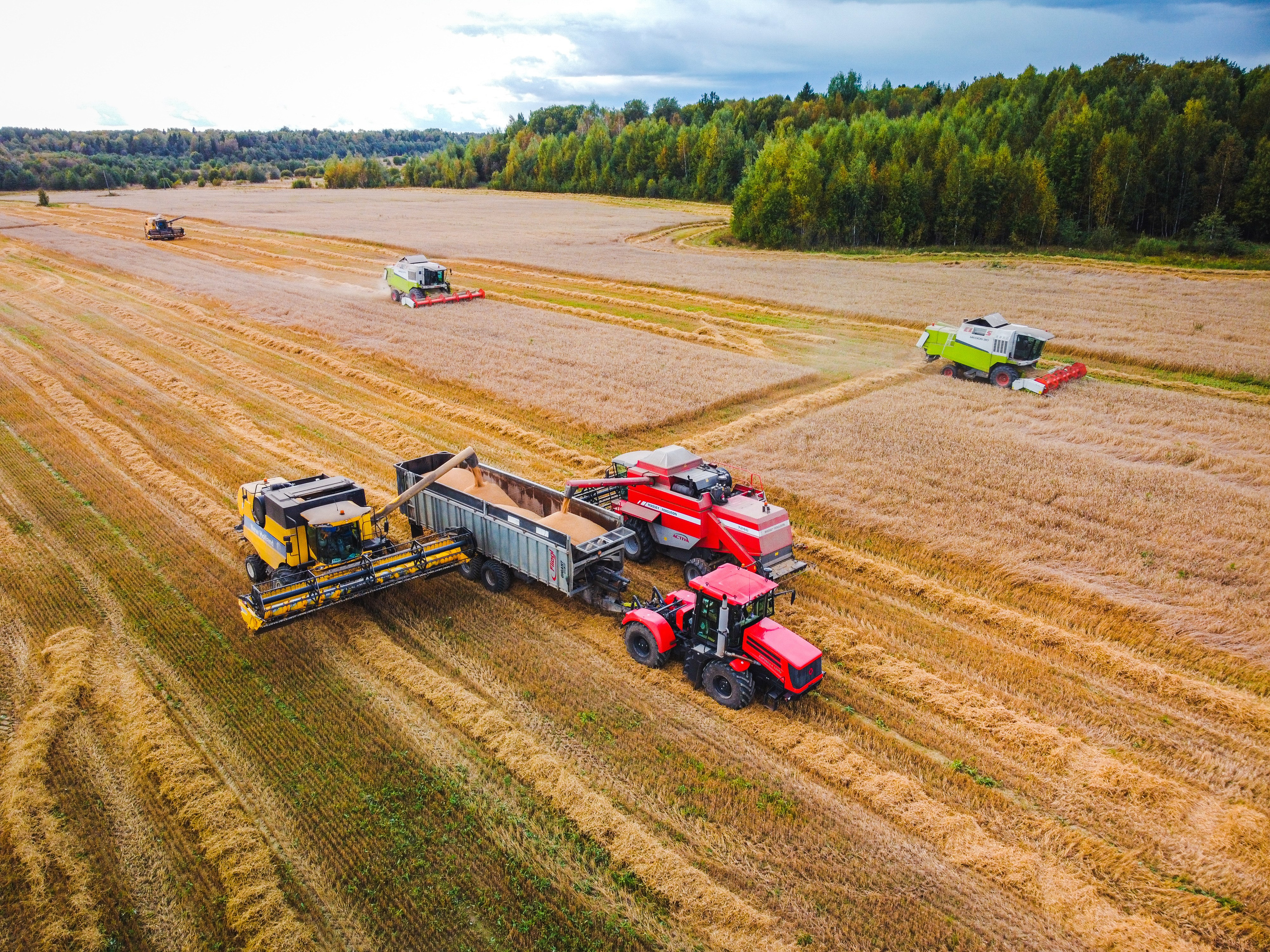 Сбор пшеницы