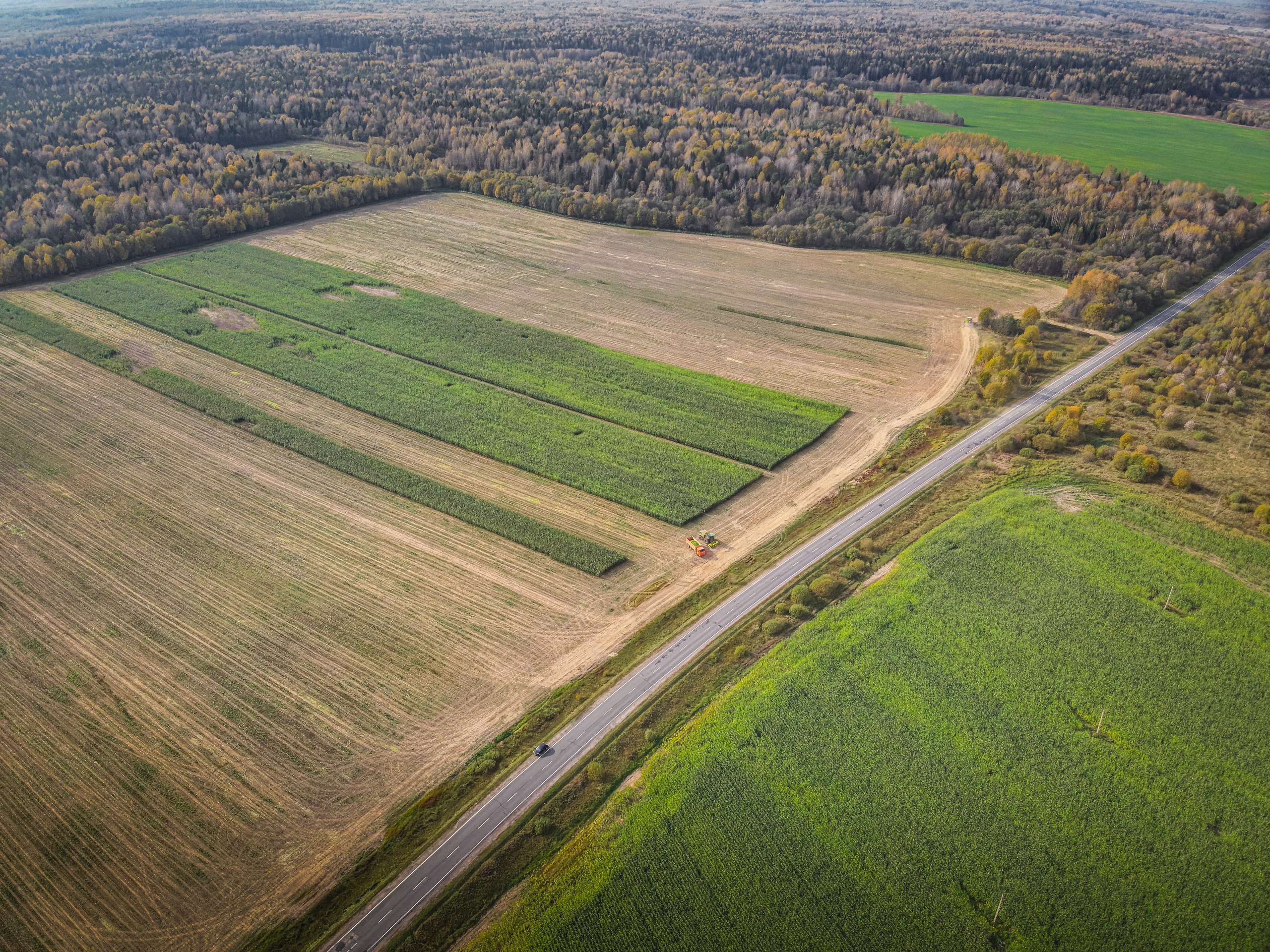 комбайны собирают кукурузу на кукурузном поле, сельское хозяйство Любимского района, Ярославской области