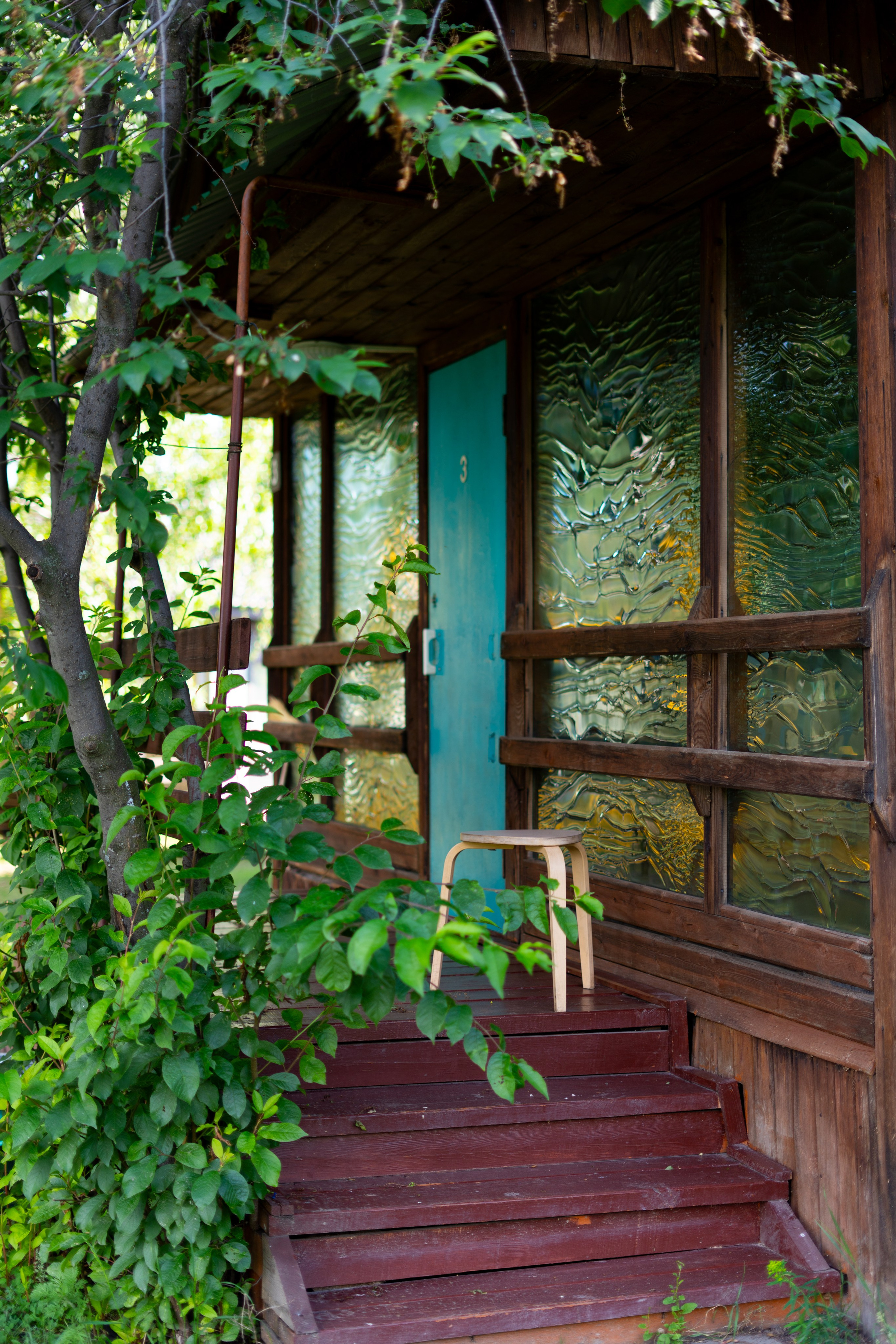 Полянка. Анастасия Паршукова — фотограф Шерегеш Новосибирск