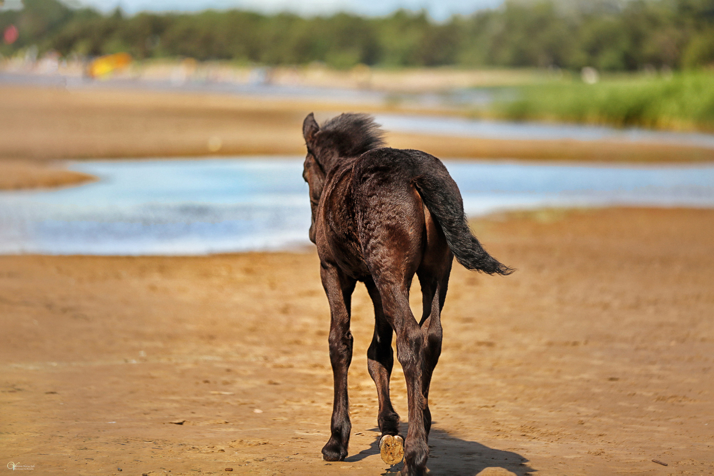 Персей_Маленький фризик. Фотограф женский и мужской портрет Санкт-Петербург