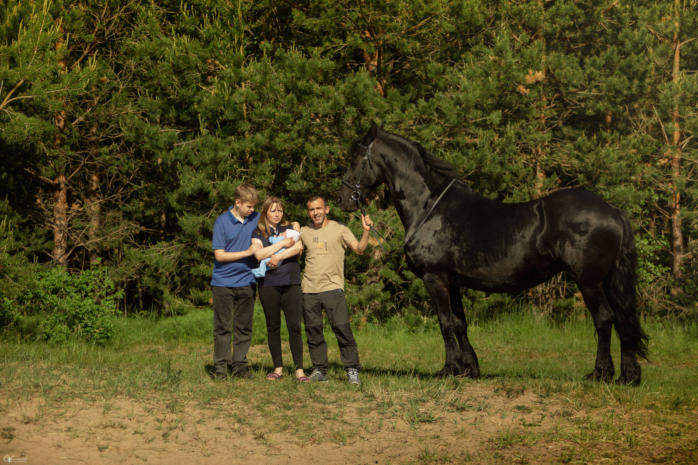 Первая фотосессия с лошадьми :). Фотограф женский и мужской портрет Санкт-Петербург