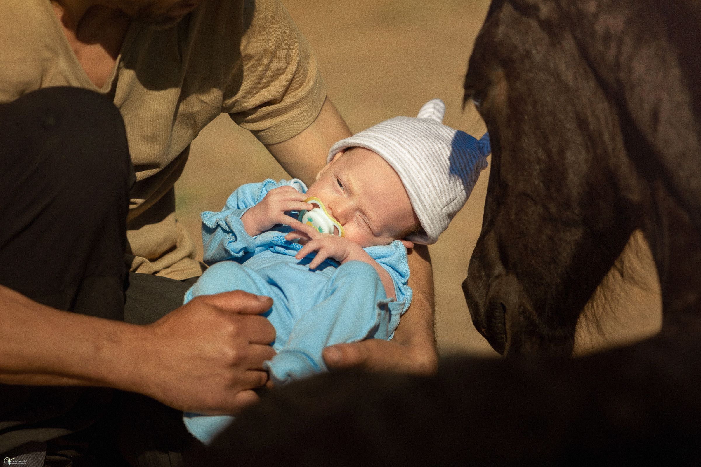 Первая фотосессия с лошадьми :). Фотограф женский и мужской портрет Санкт-Петербург