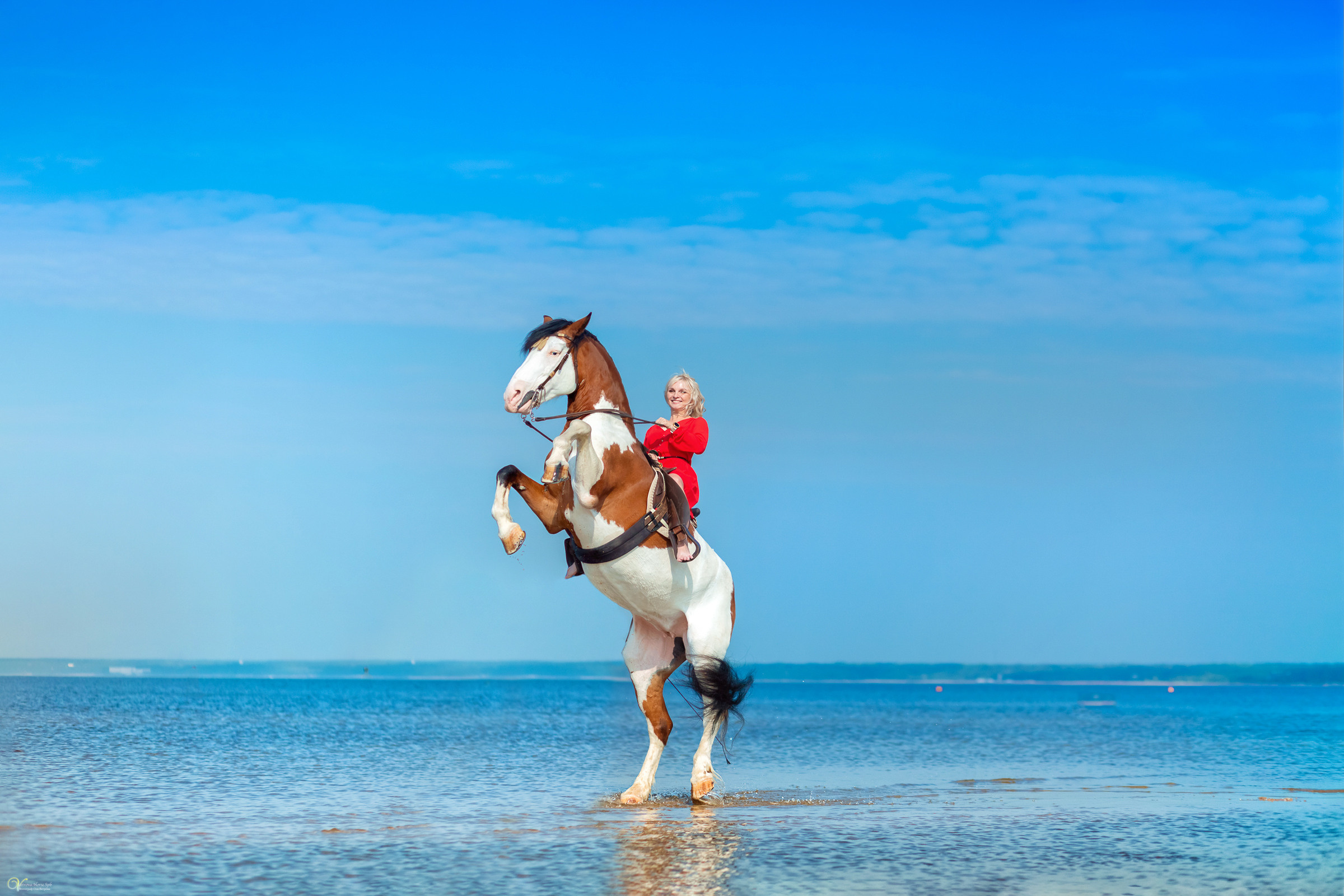 Лила и Лола в красном. Фотограф женский и мужской портрет Санкт-Петербург