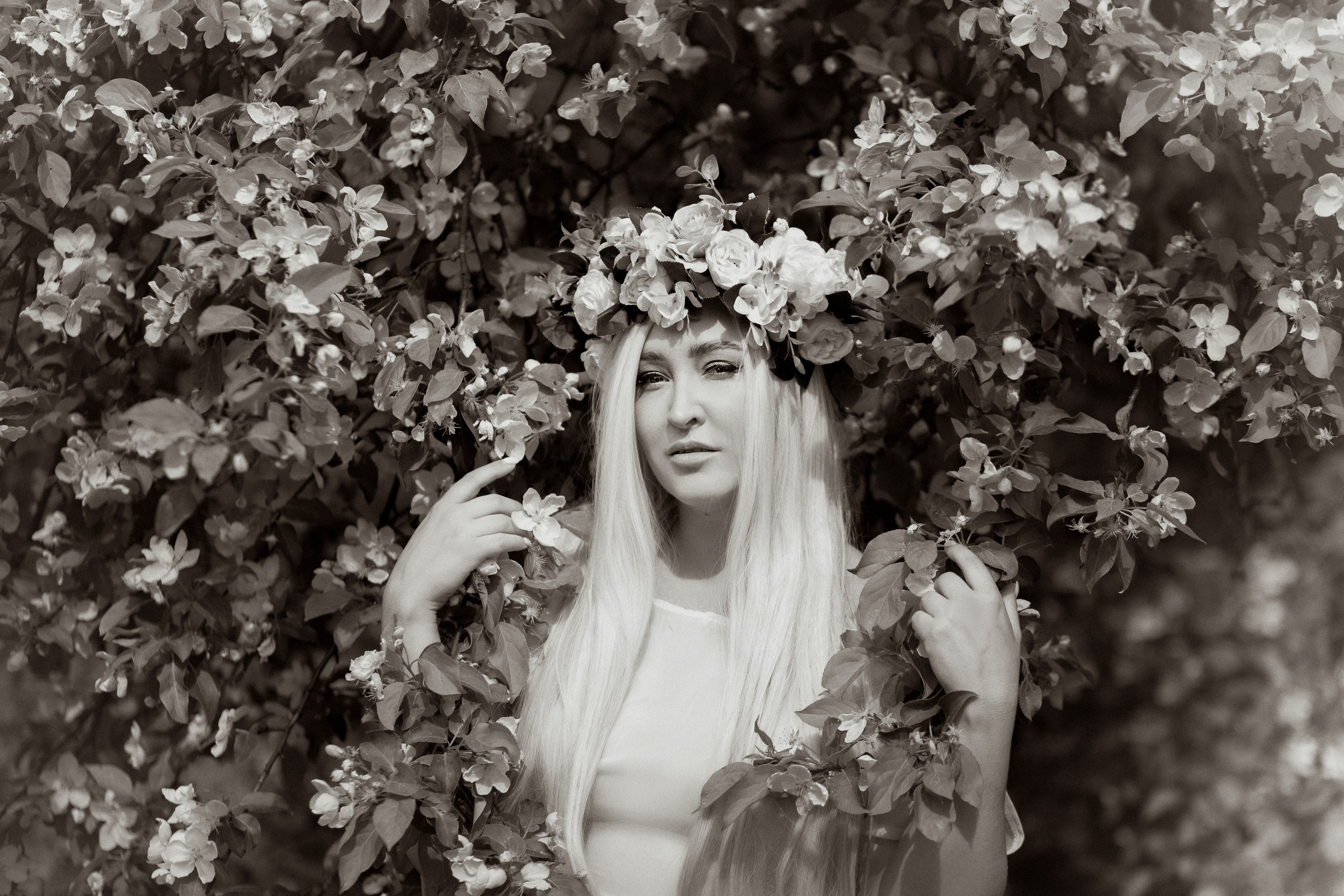 Яблони. Фотограф женский и мужской портрет Санкт-Петербург