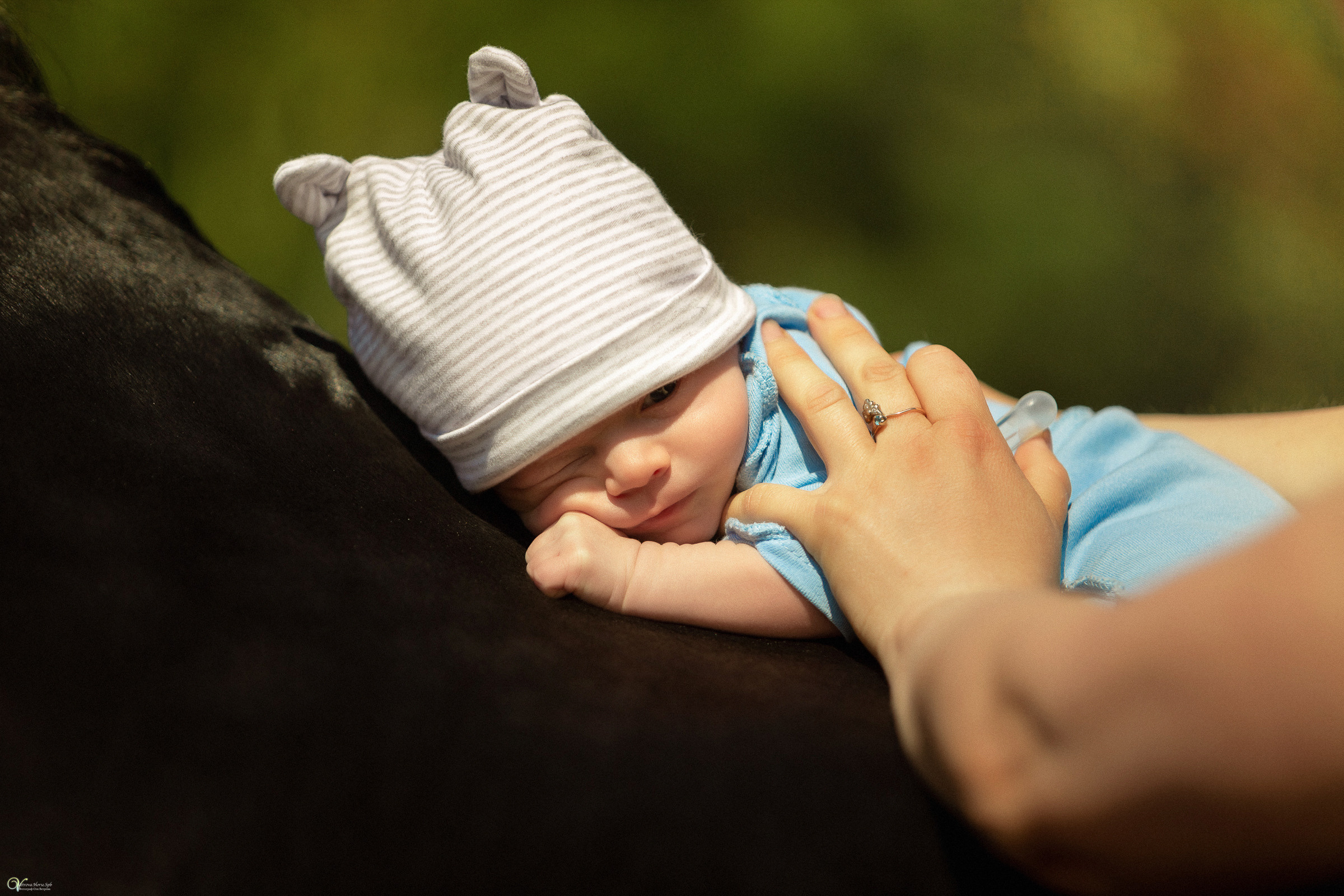 Первая фотосессия с лошадьми :). Фотограф женский и мужской портрет Санкт-Петербург