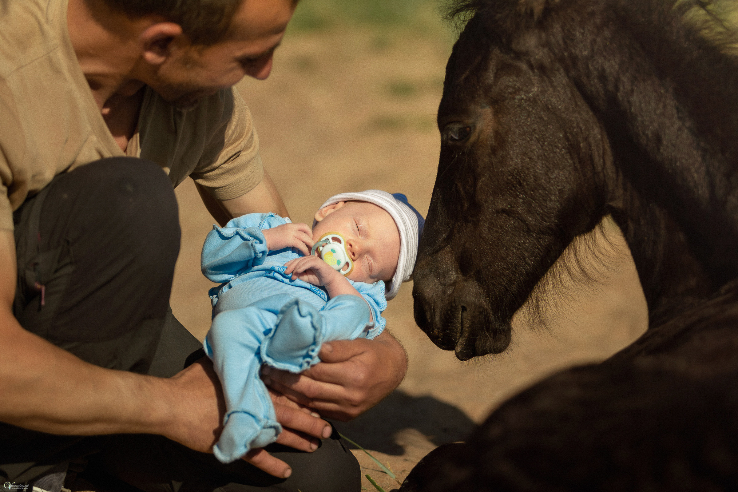 Первая фотосессия с лошадьми :). Фотограф женский и мужской портрет Санкт-Петербург
