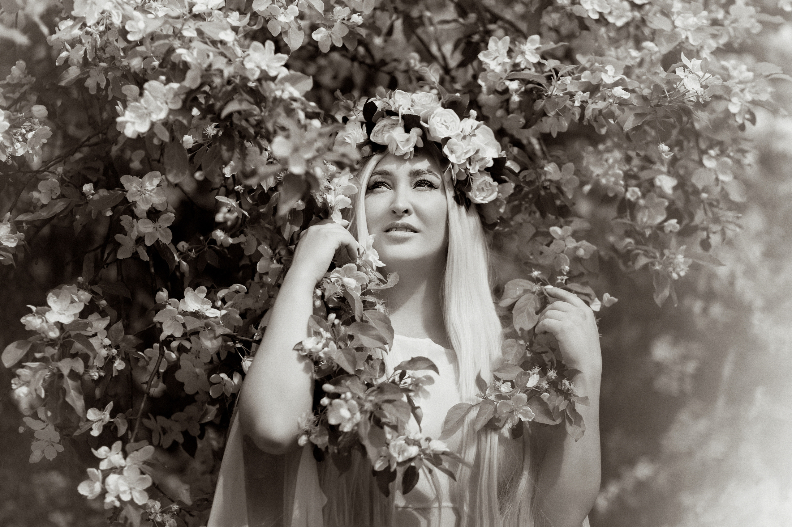 Яблони. Фотограф женский и мужской портрет Санкт-Петербург