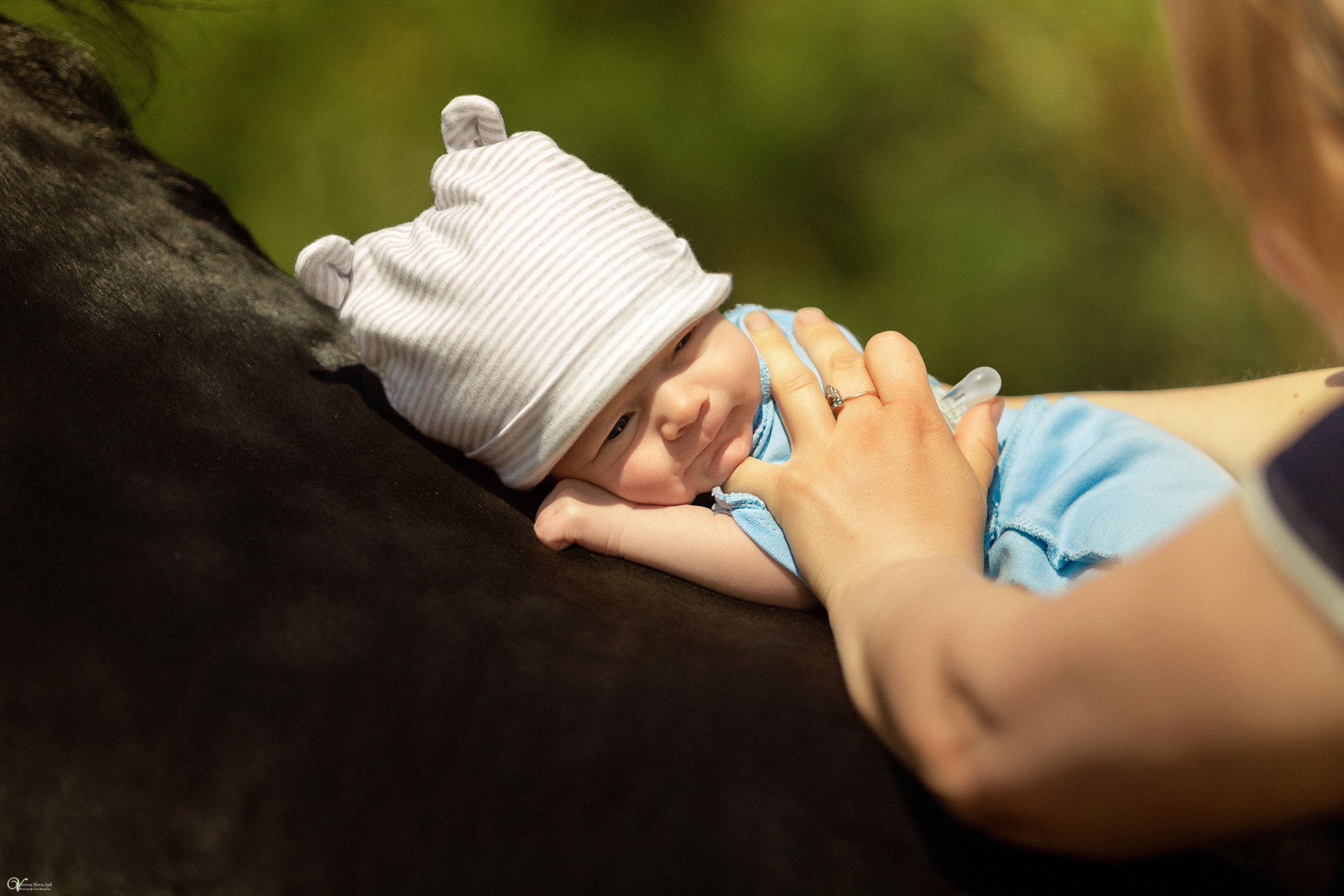 Первая фотосессия с лошадьми :). Фотограф женский и мужской портрет Санкт-Петербург
