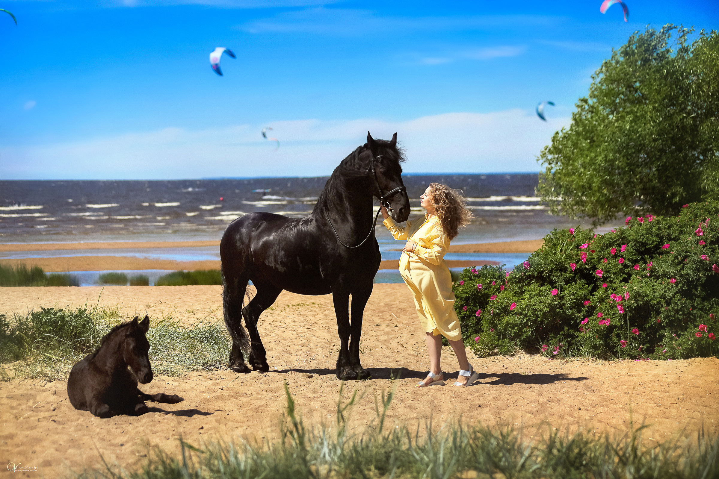 Съемка с лошадью в СПб. Фотограф женский и мужской портрет Санкт-Петербург