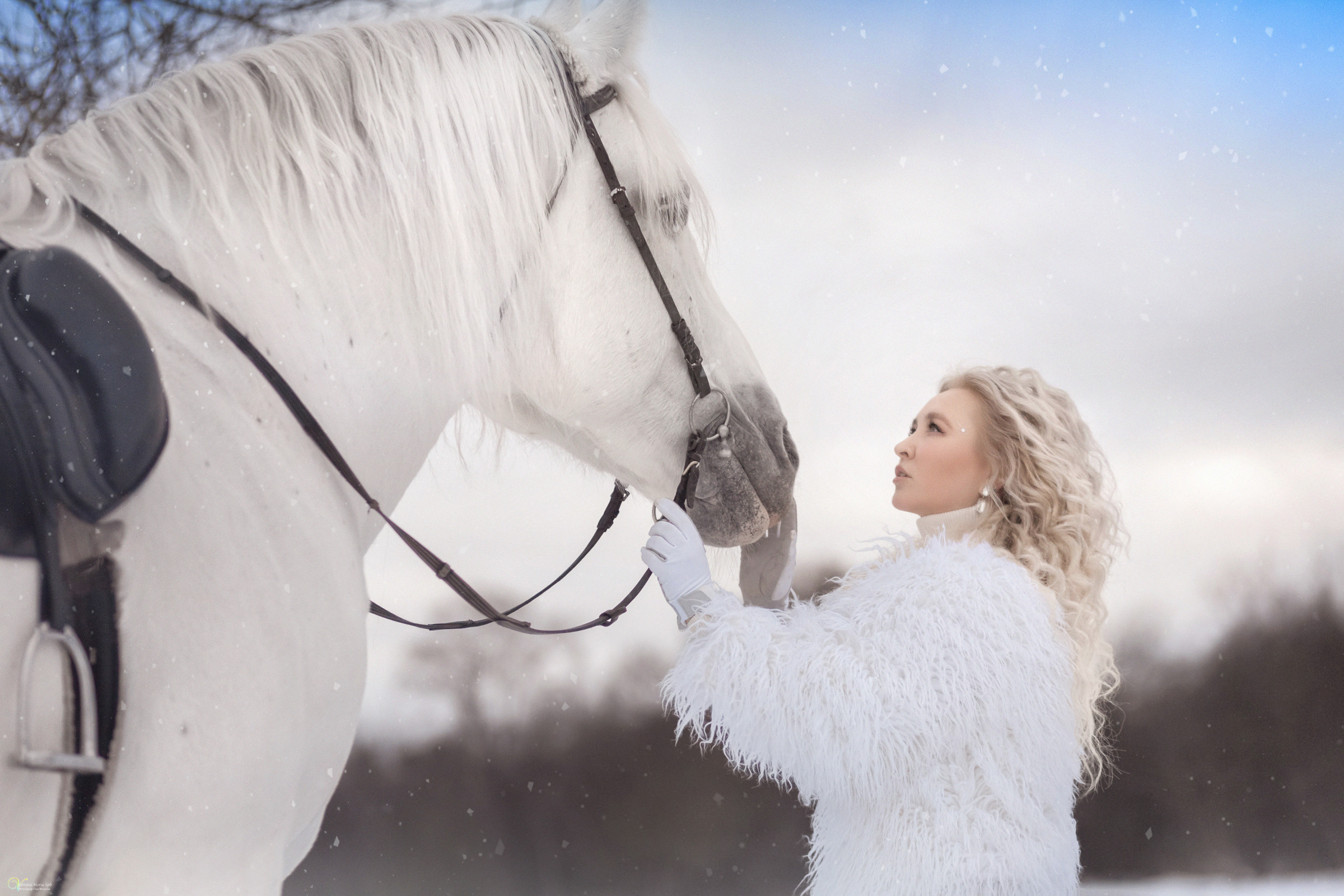 Снежная Королева. Фотограф женский и мужской портрет Санкт-Петербург