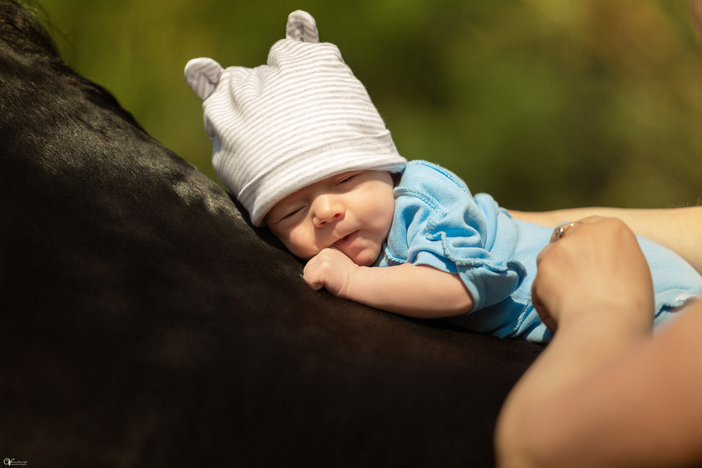 Первая фотосессия (3 недельки). Фотограф женский и мужской портрет Санкт-Петербург