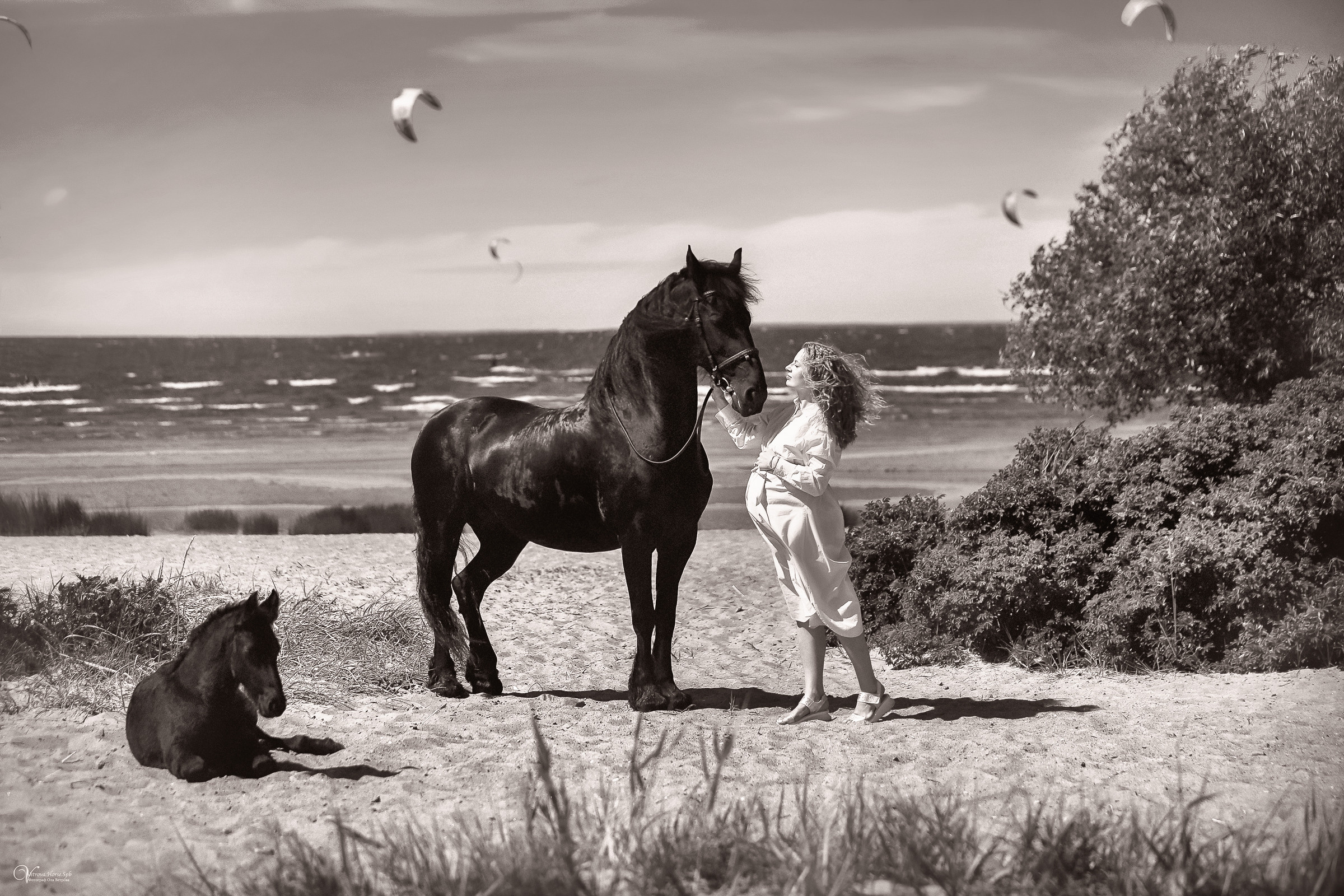 Съемка с лошадью в СПб. Фотограф женский и мужской портрет Санкт-Петербург