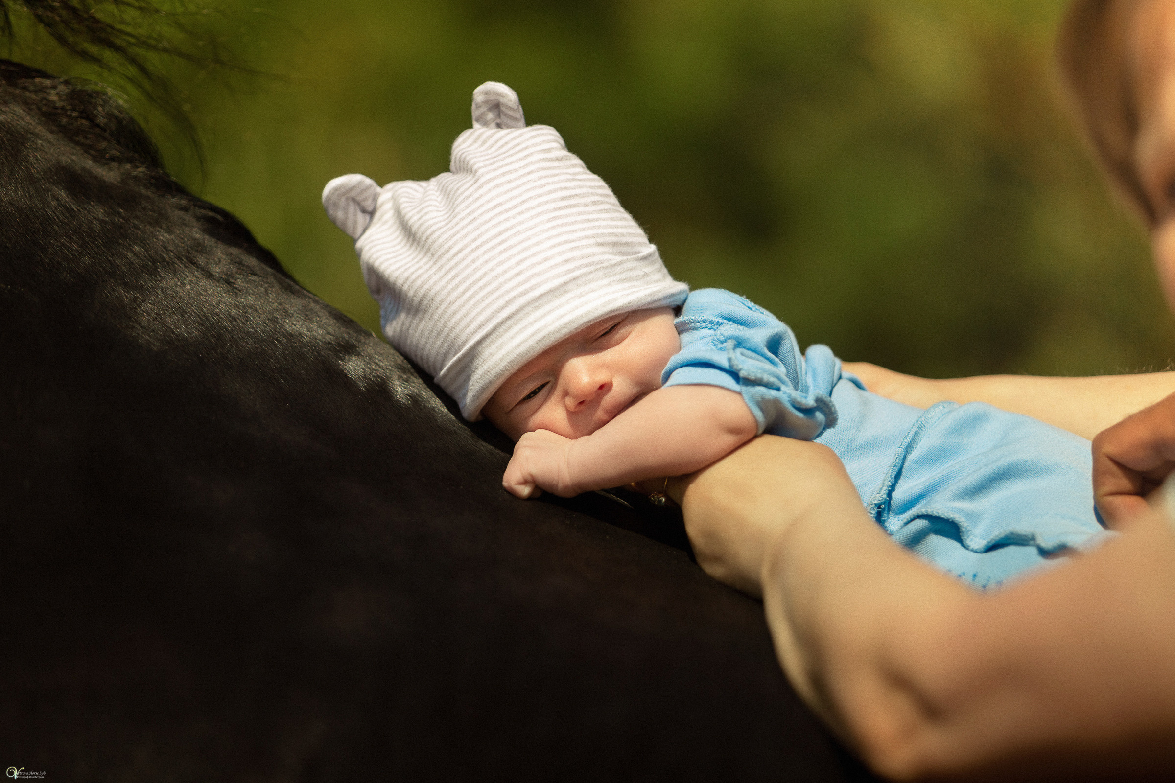 Первая фотосессия с лошадьми :). Фотограф женский и мужской портрет Санкт-Петербург