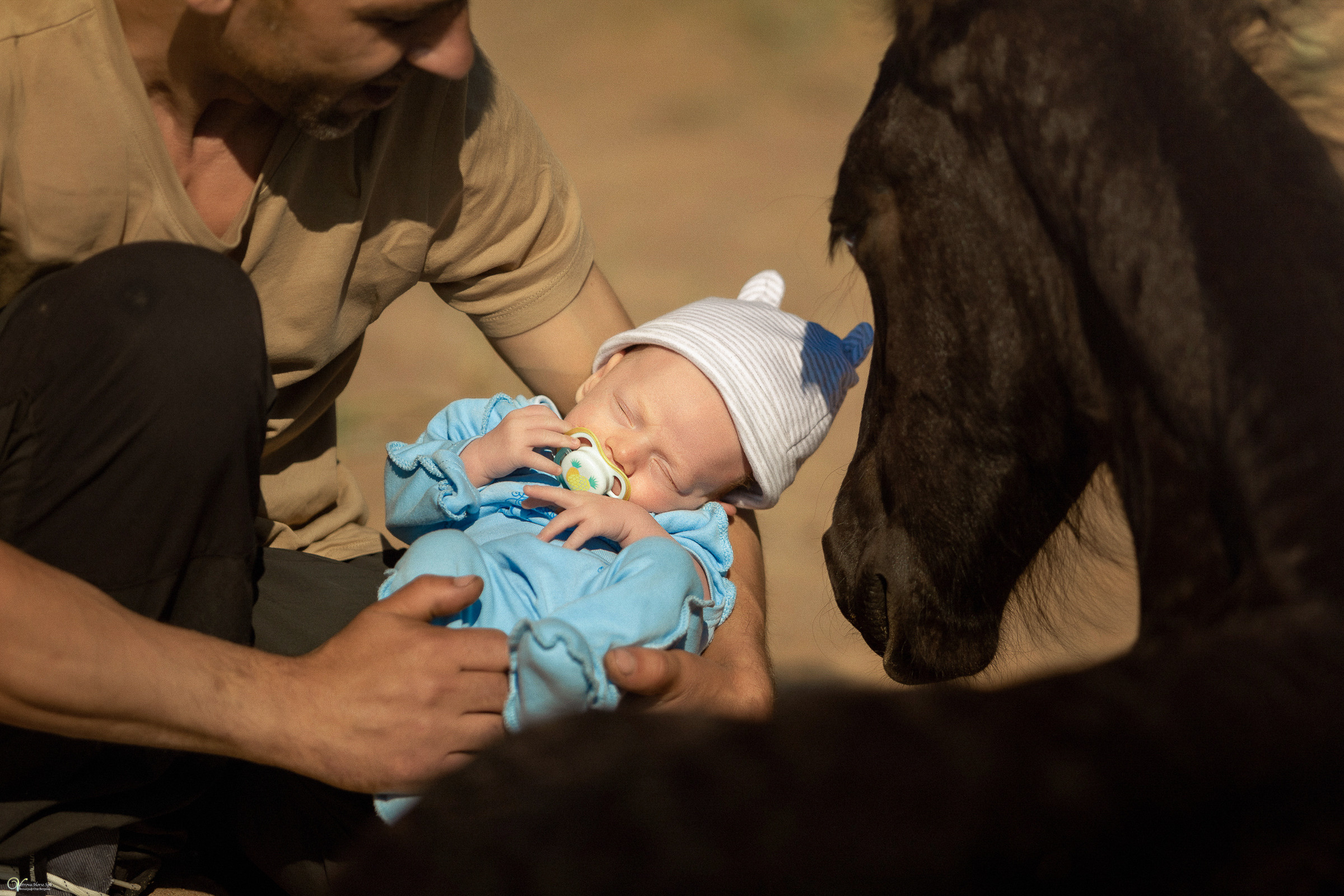 Первая фотосессия с лошадьми :). Фотограф женский и мужской портрет Санкт-Петербург