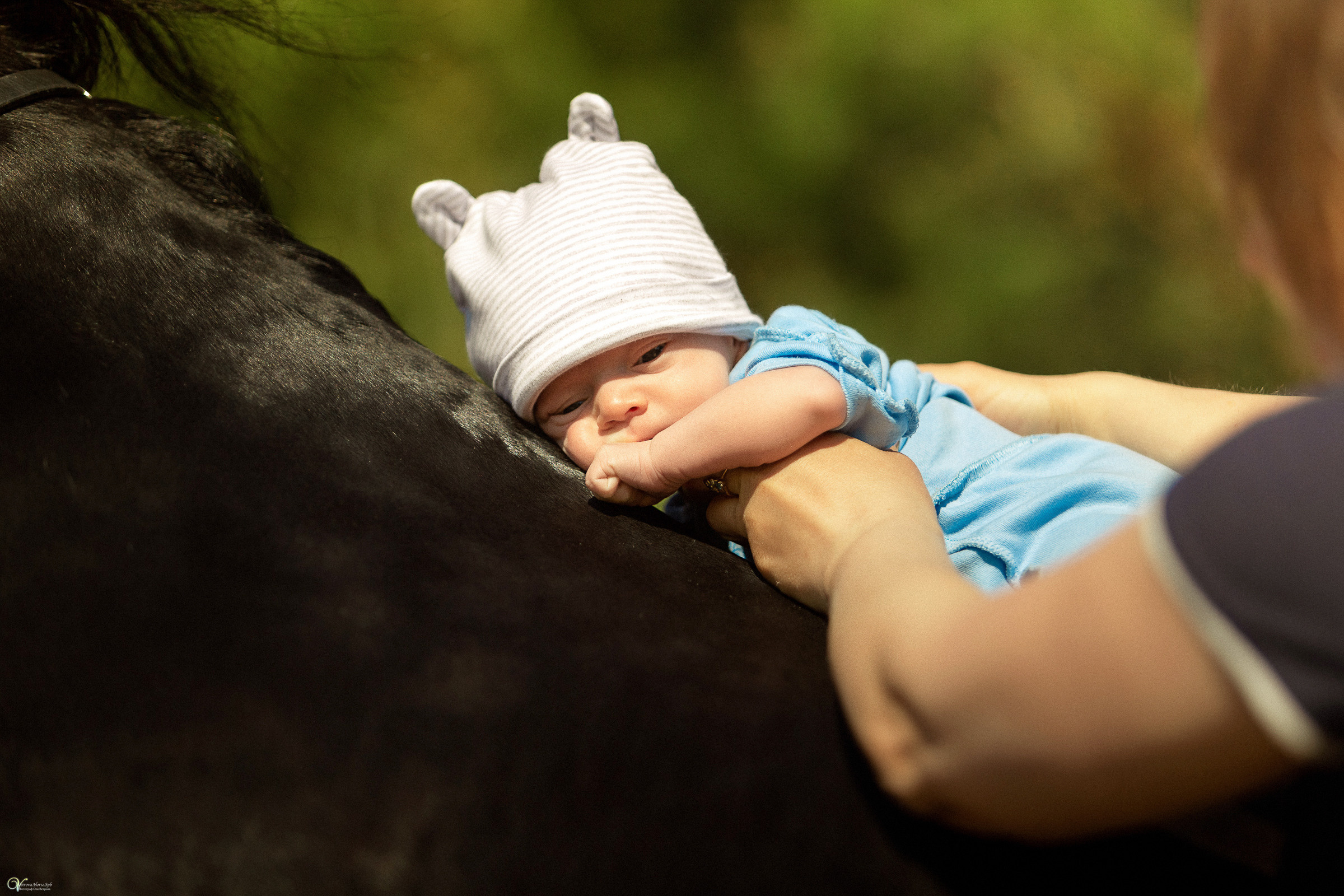 Первая фотосессия (3 недельки). Фотограф женский и мужской портрет Санкт-Петербург