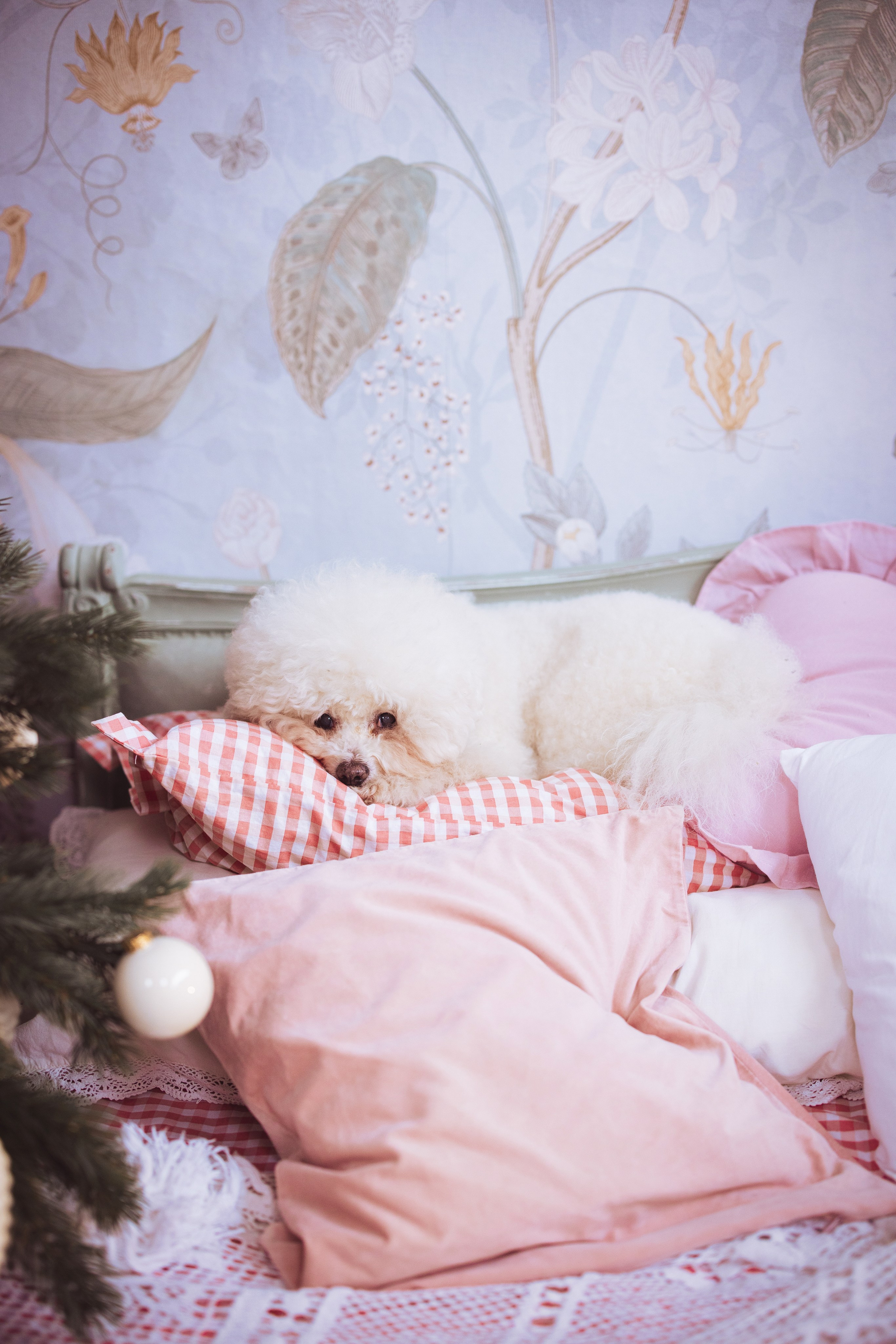 Новогодняя фотосессия в стиле Винтаж. Семейный и детский фотограф в Краснодаре Анна Трашкова