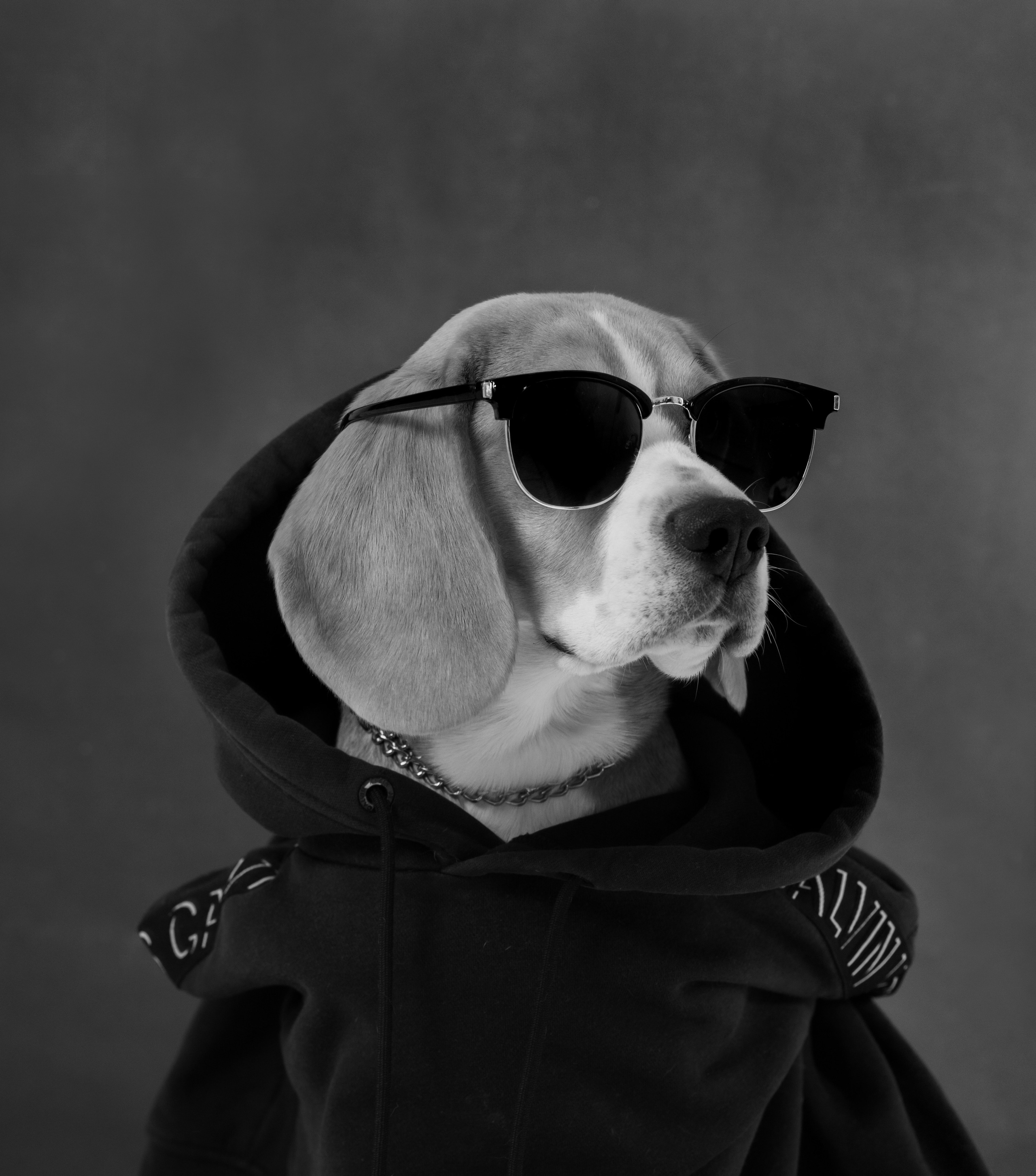 Фотограф-анималист Павлова Любовь