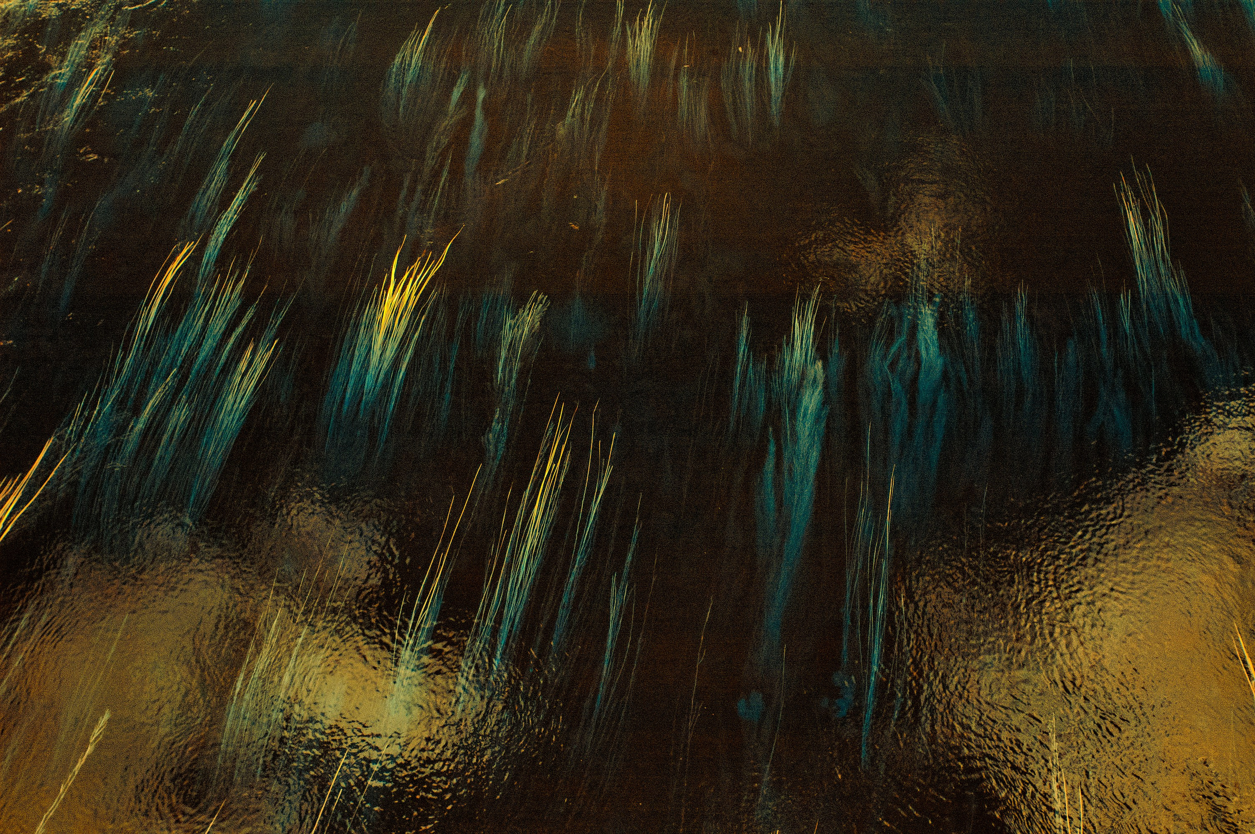 Infrared Photography. Solofilms