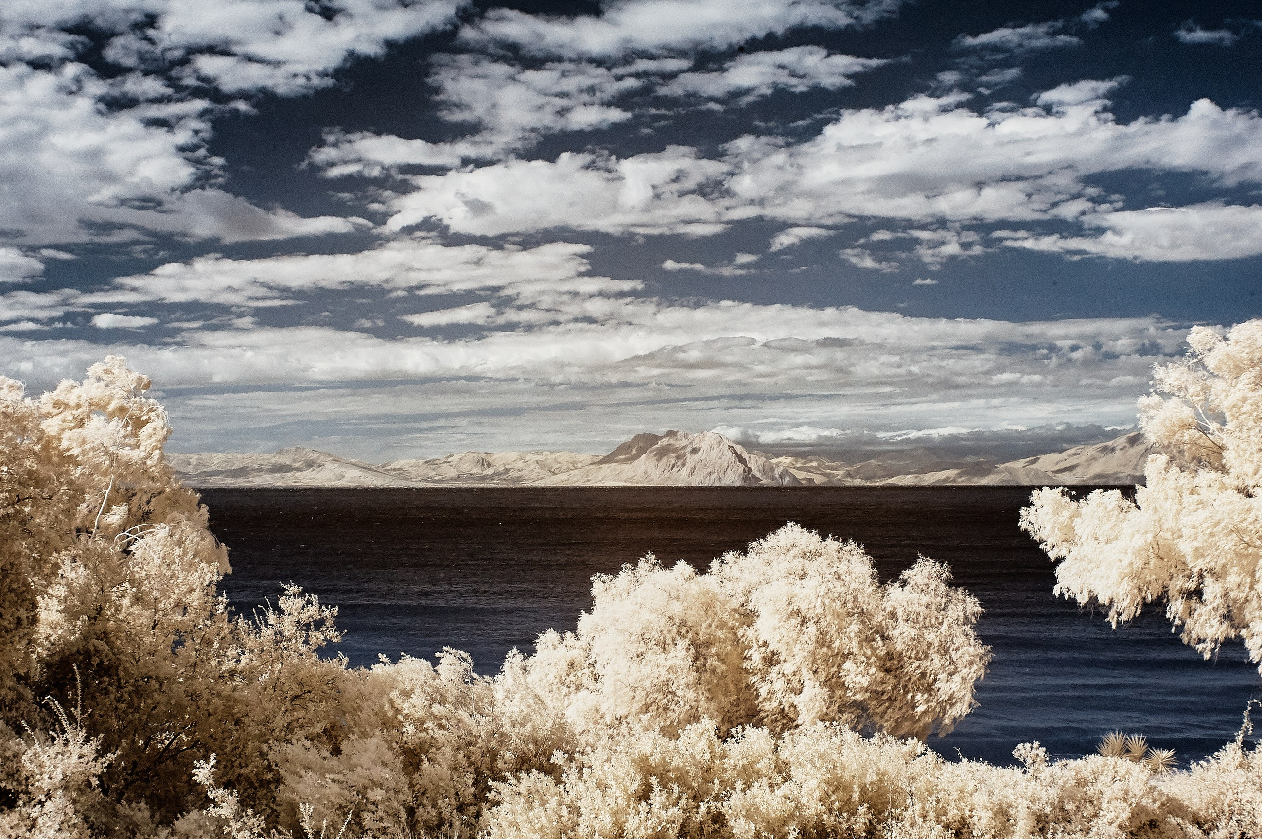 Infrared Photography. Solofilms