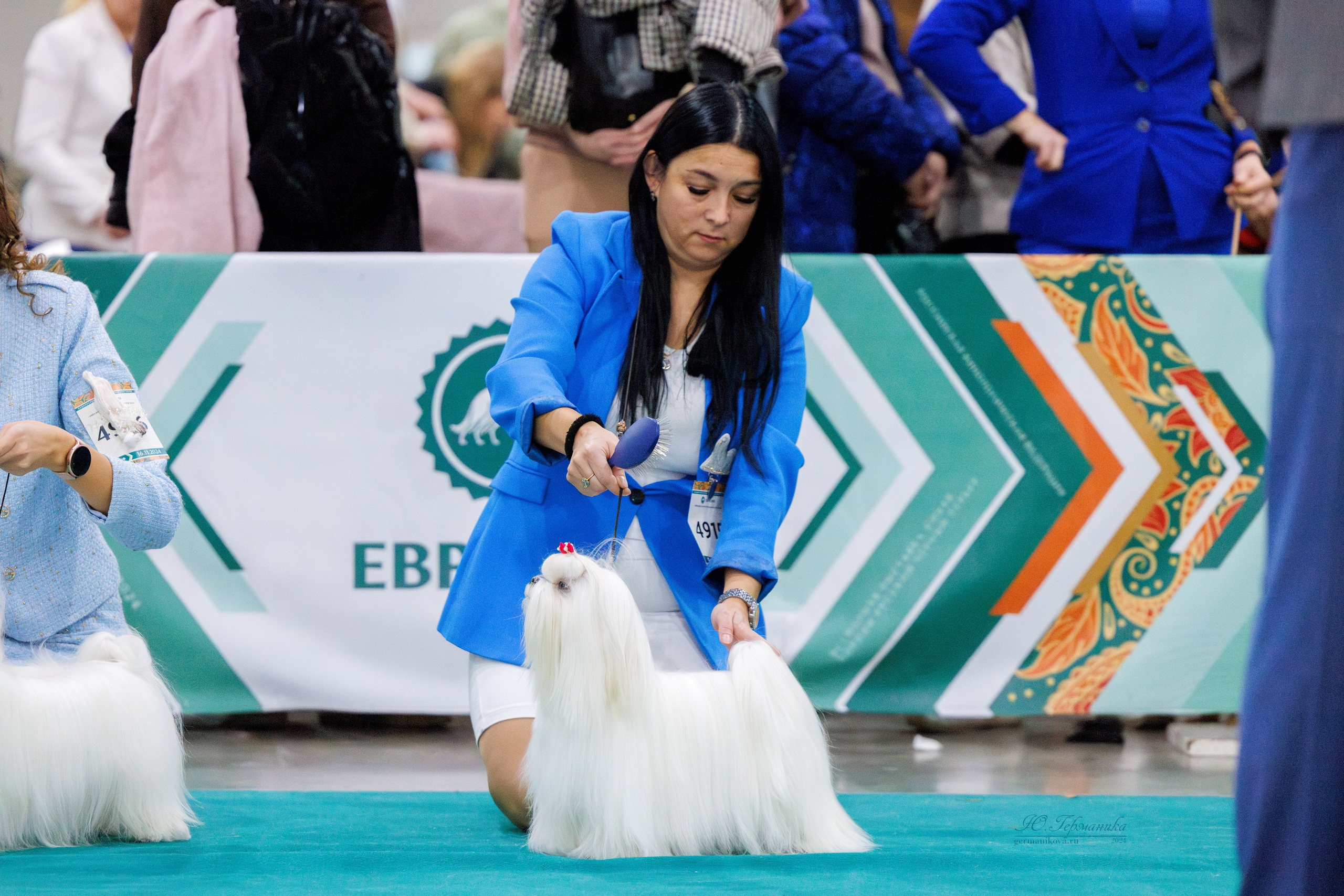 Евразия 16-17.11.2024. Фотограф-анималист Юлия Германика