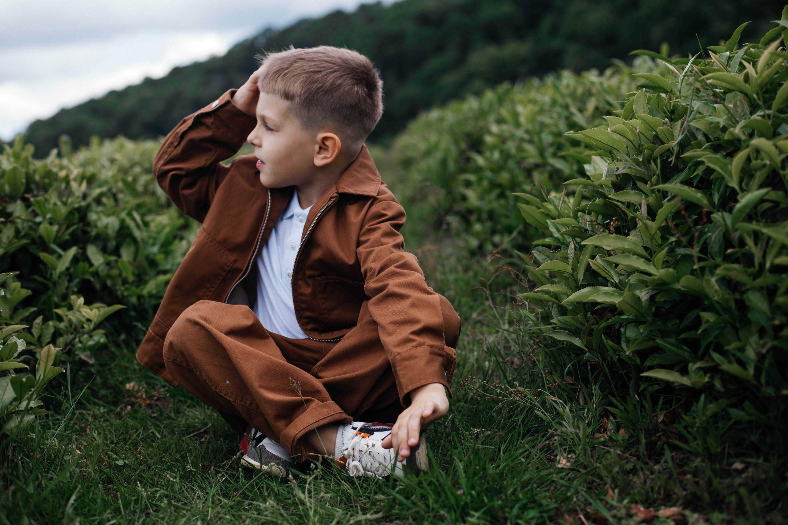 Tea plantation. Efimova Model Agency