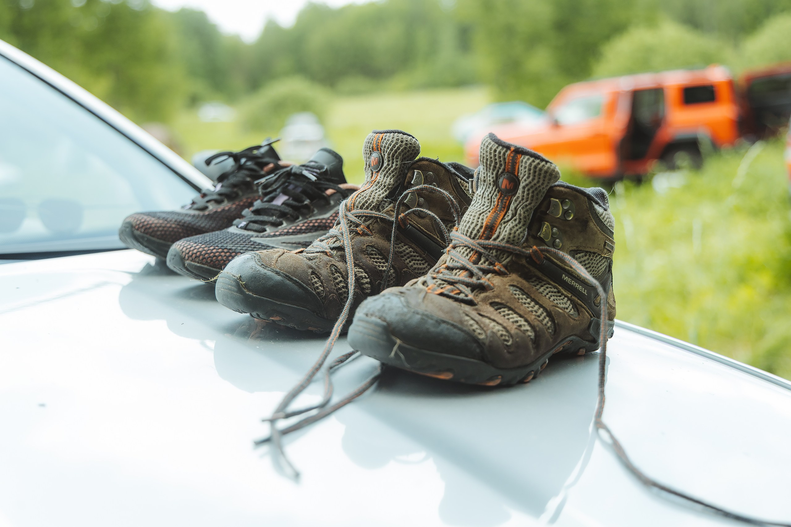 VI открытые волонтёрские соревнования среди поисковых кинологических расчётов. Фотограф Ирина Астор