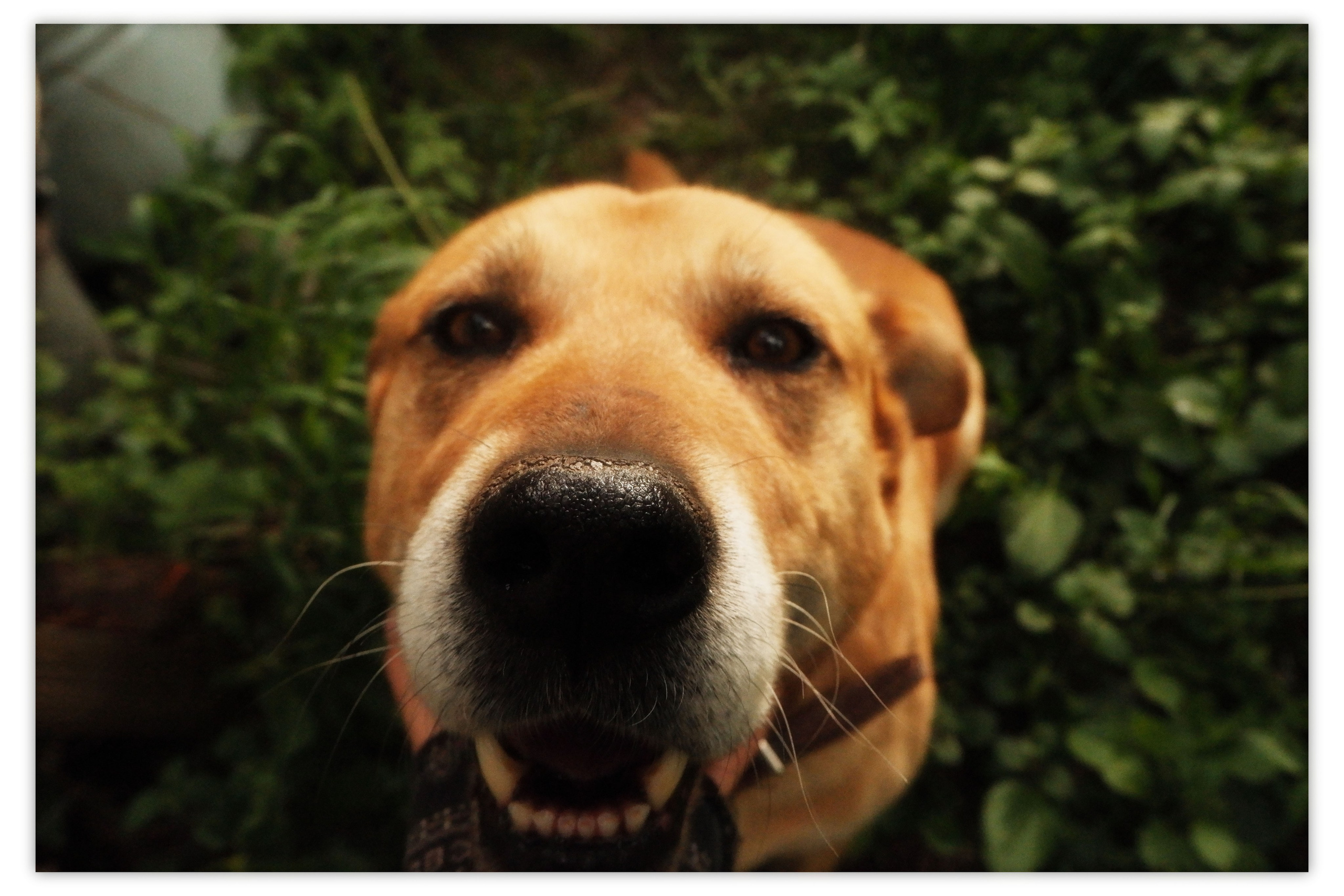 KALUGA. ANNA — PHOTOGRAPHER