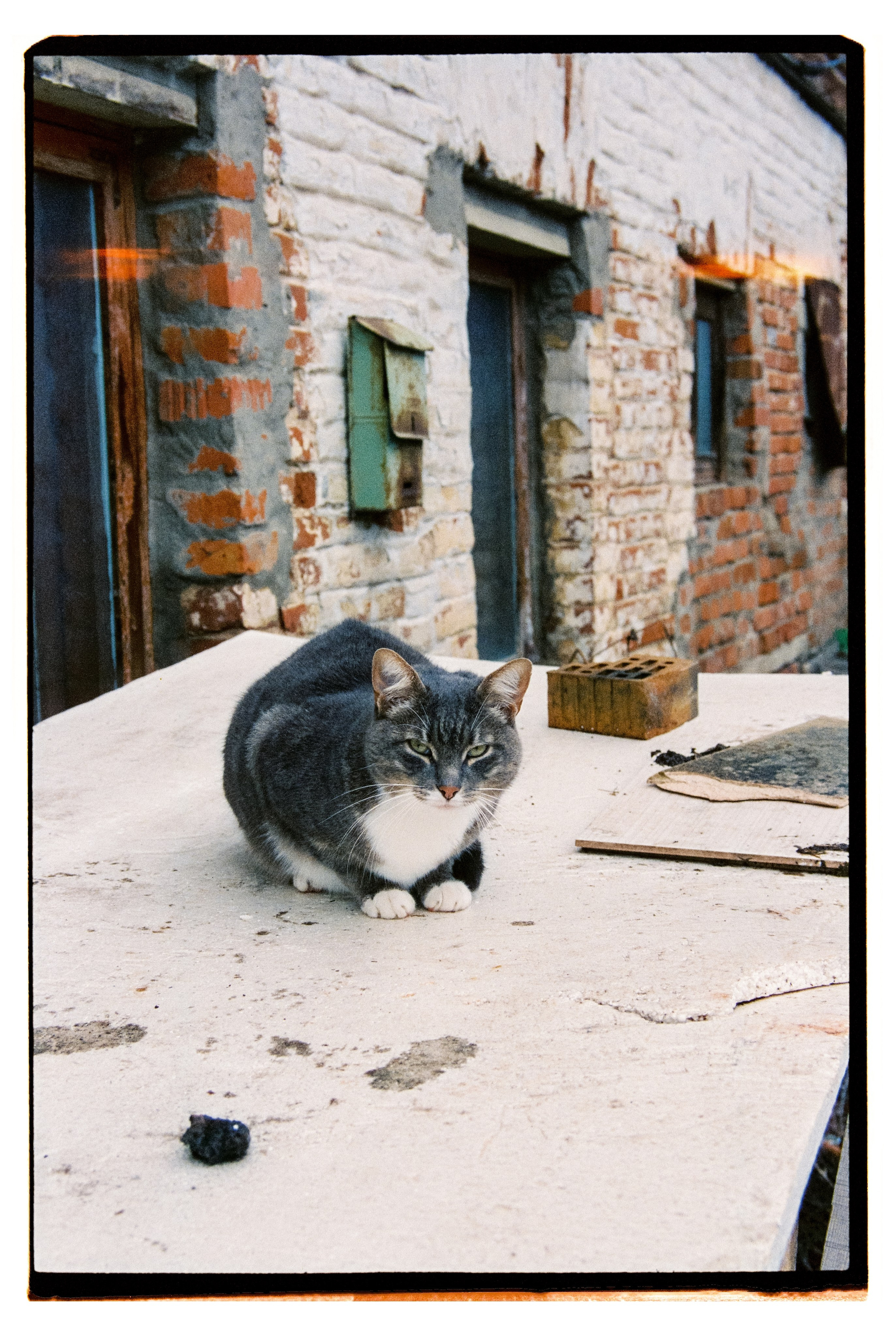 KALUGA. ANNA — PHOTOGRAPHER