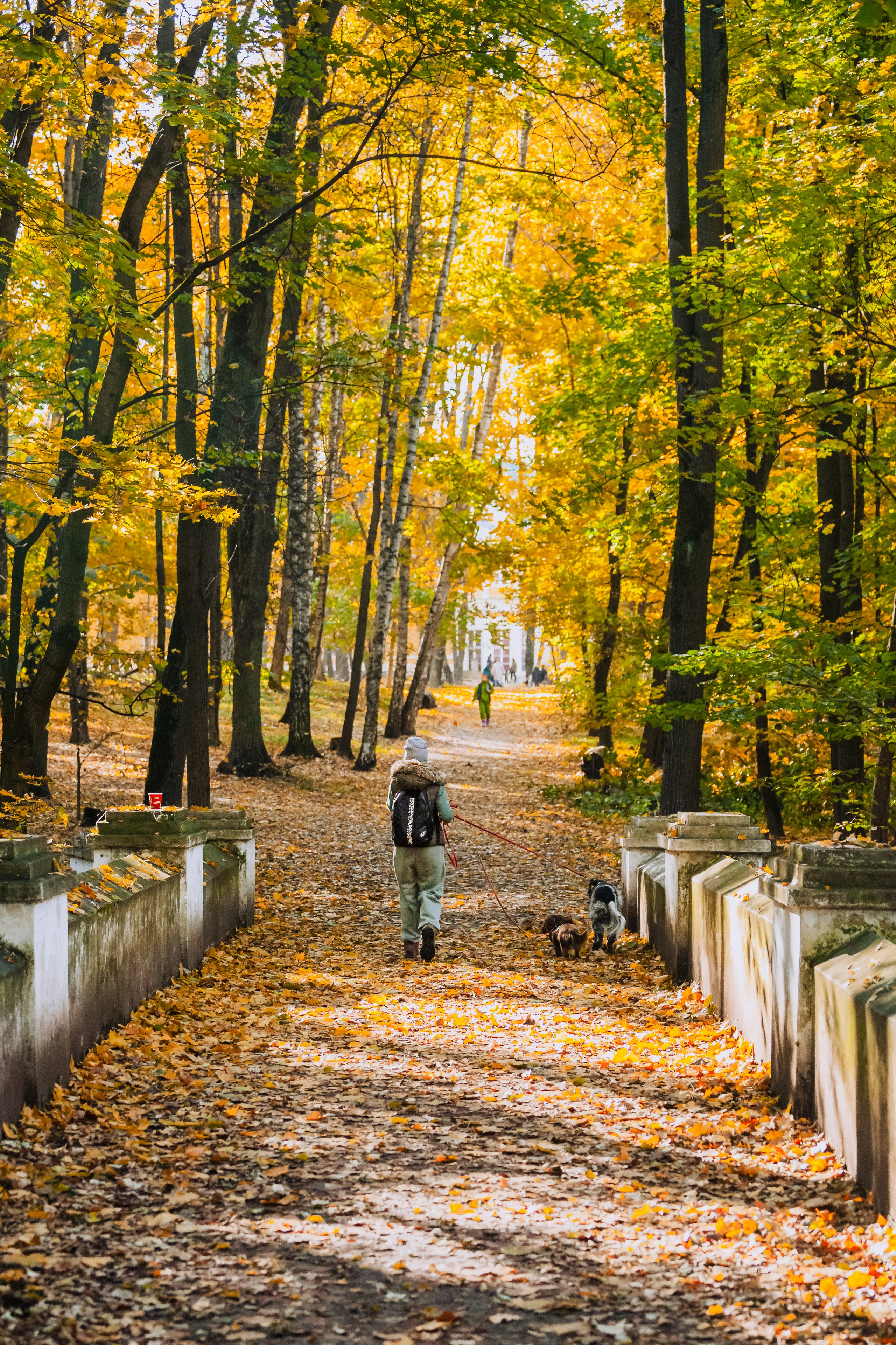 Света, Хайди, Богдана. Фотограф-анималист Татьяна Степанова