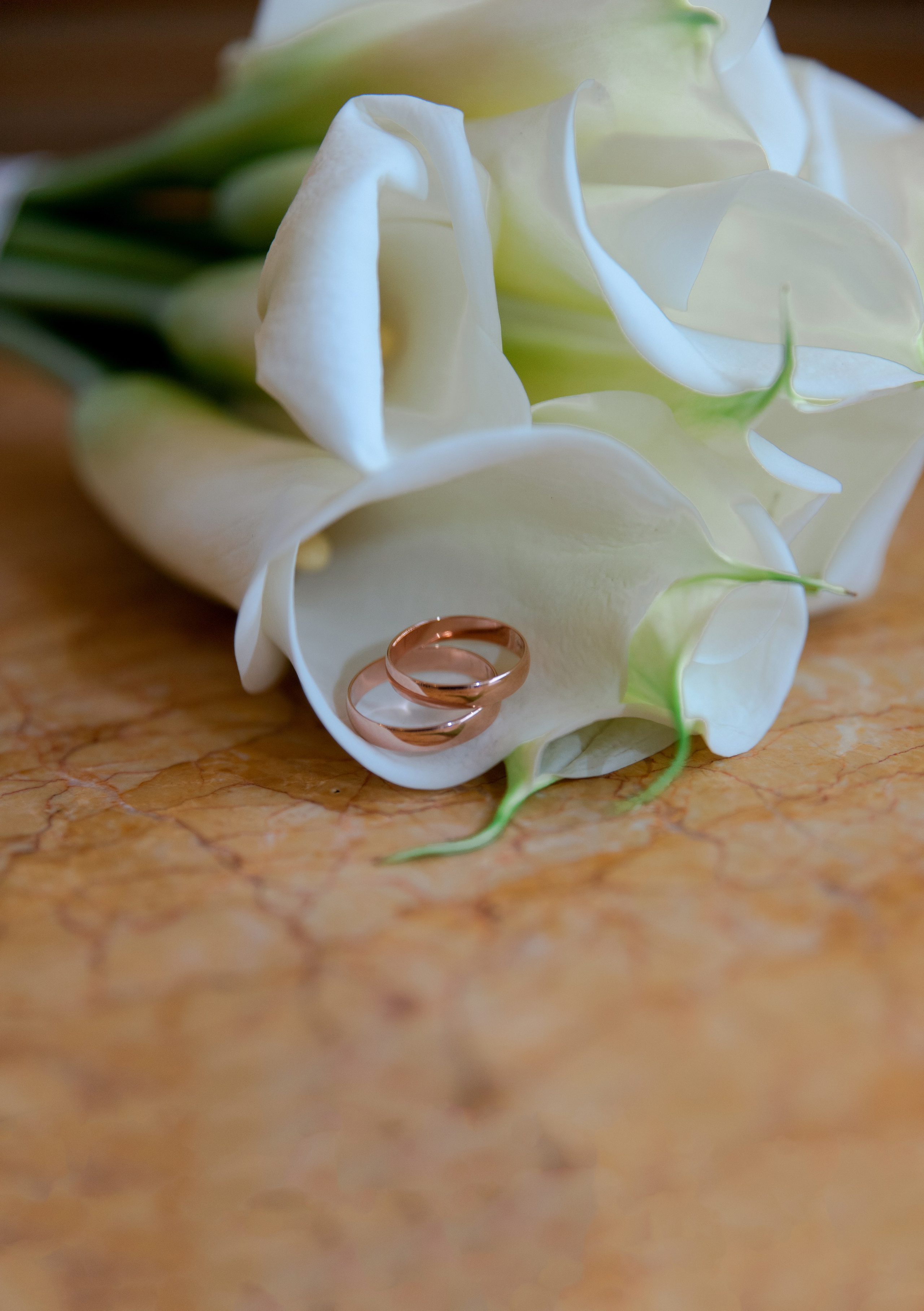 Надежда и Павел. Свадебный и семейный фотограф СПБ