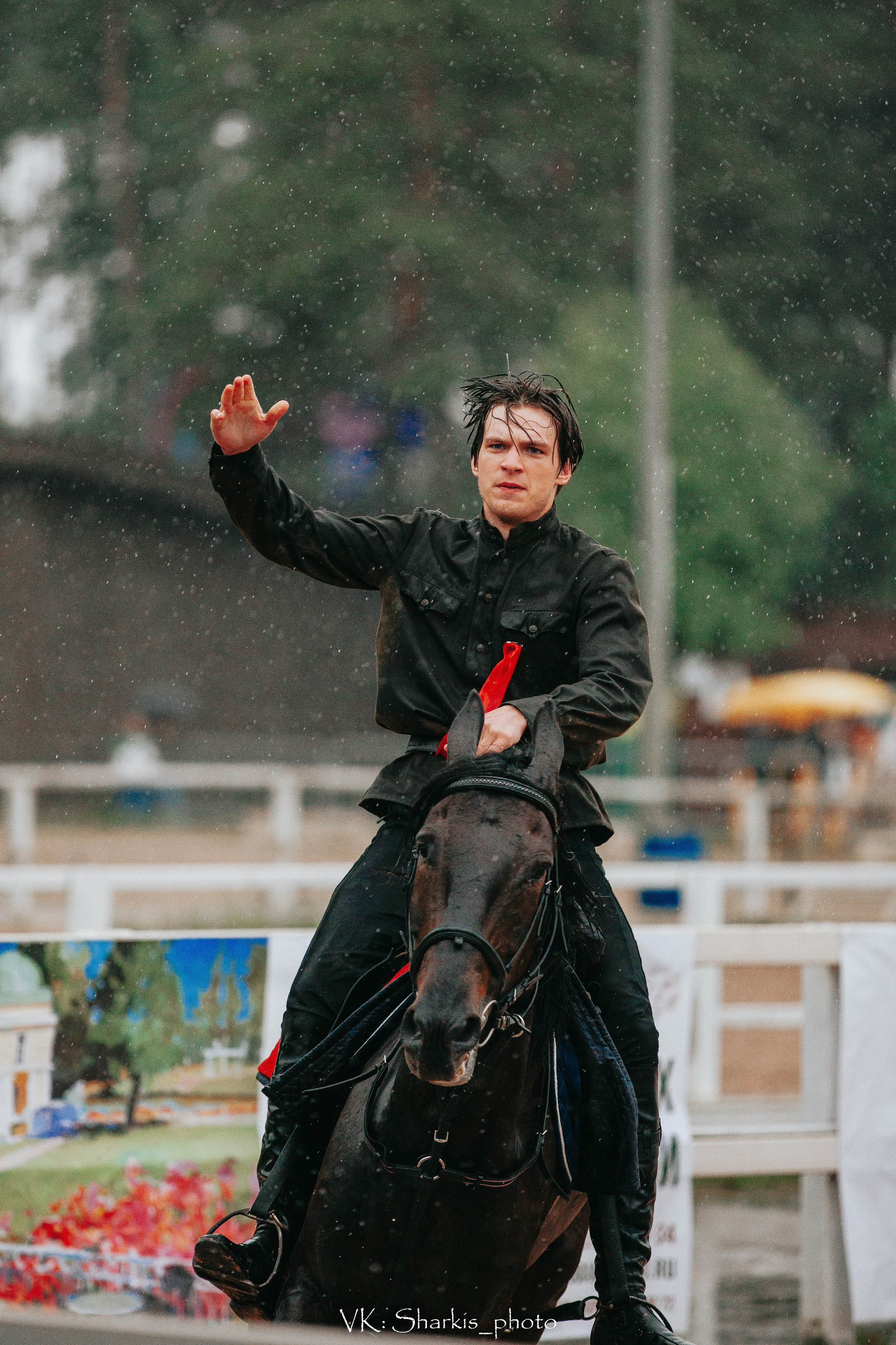 Лошади. Главная