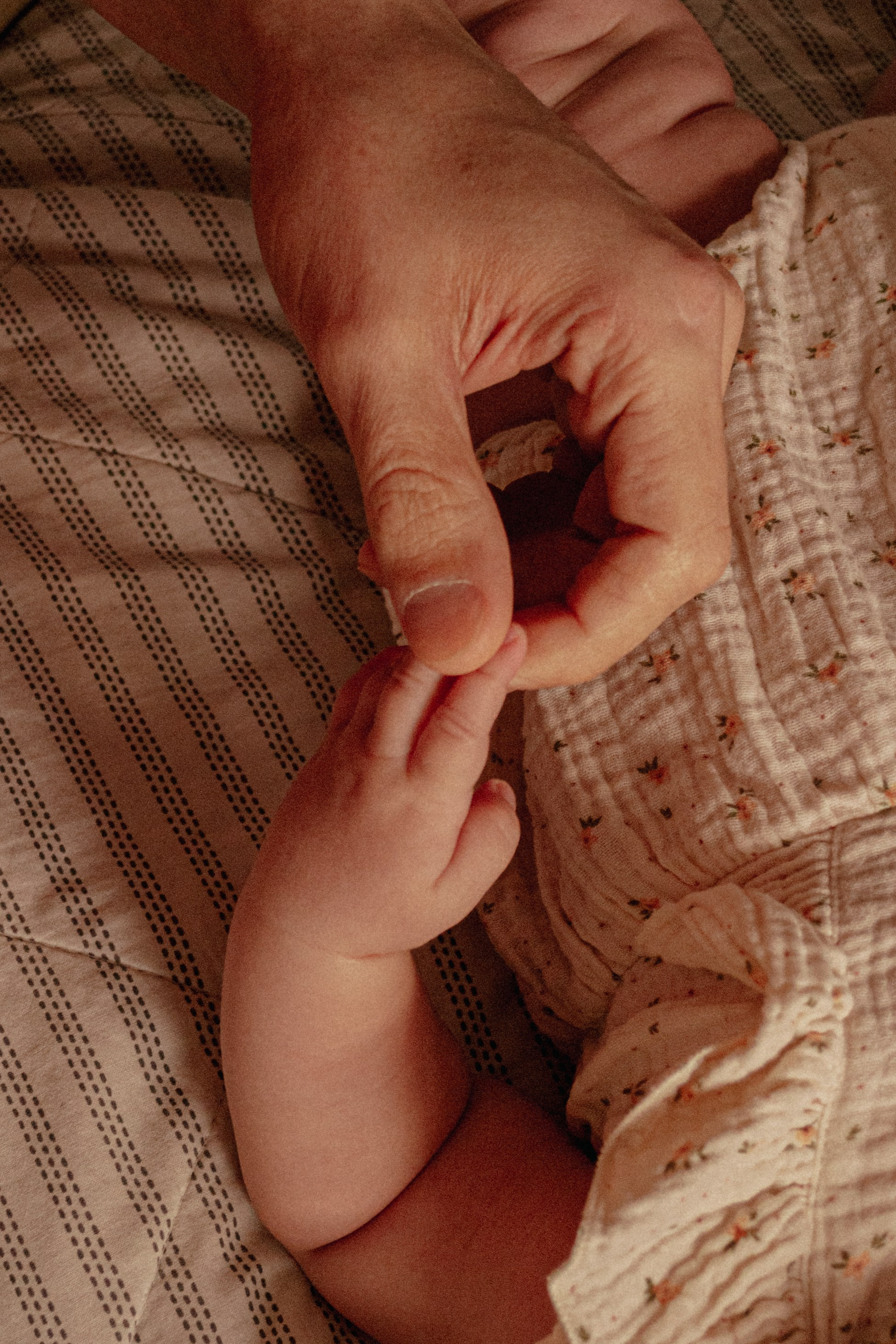 Антон, Ирина, Ариша и Ярослав. Семейный и детский фотограф в Москве Светлана Козырева