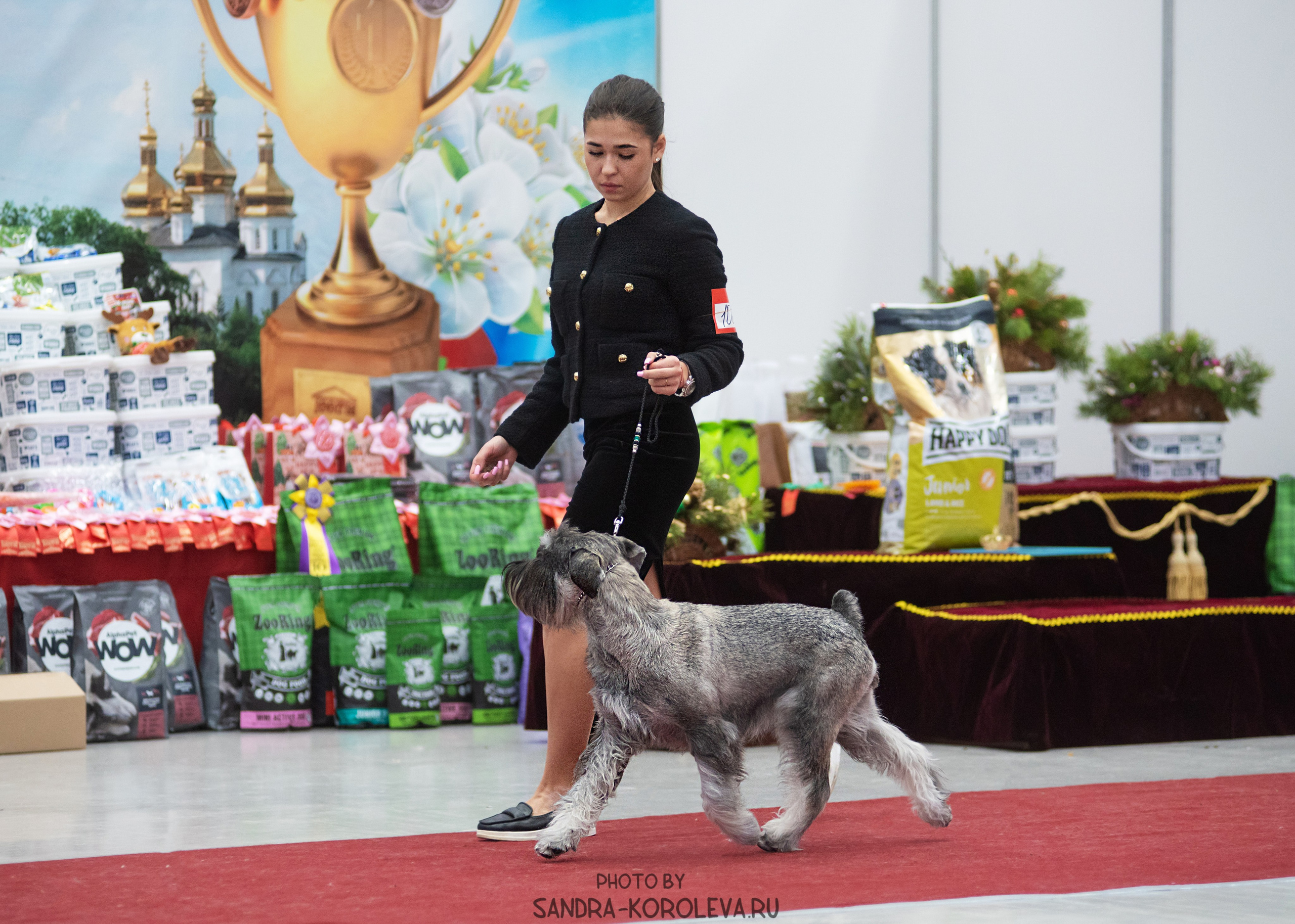 Выставка собак тюмень 10.12.2022. Дог-фотограф в Тюмени Александра Королева