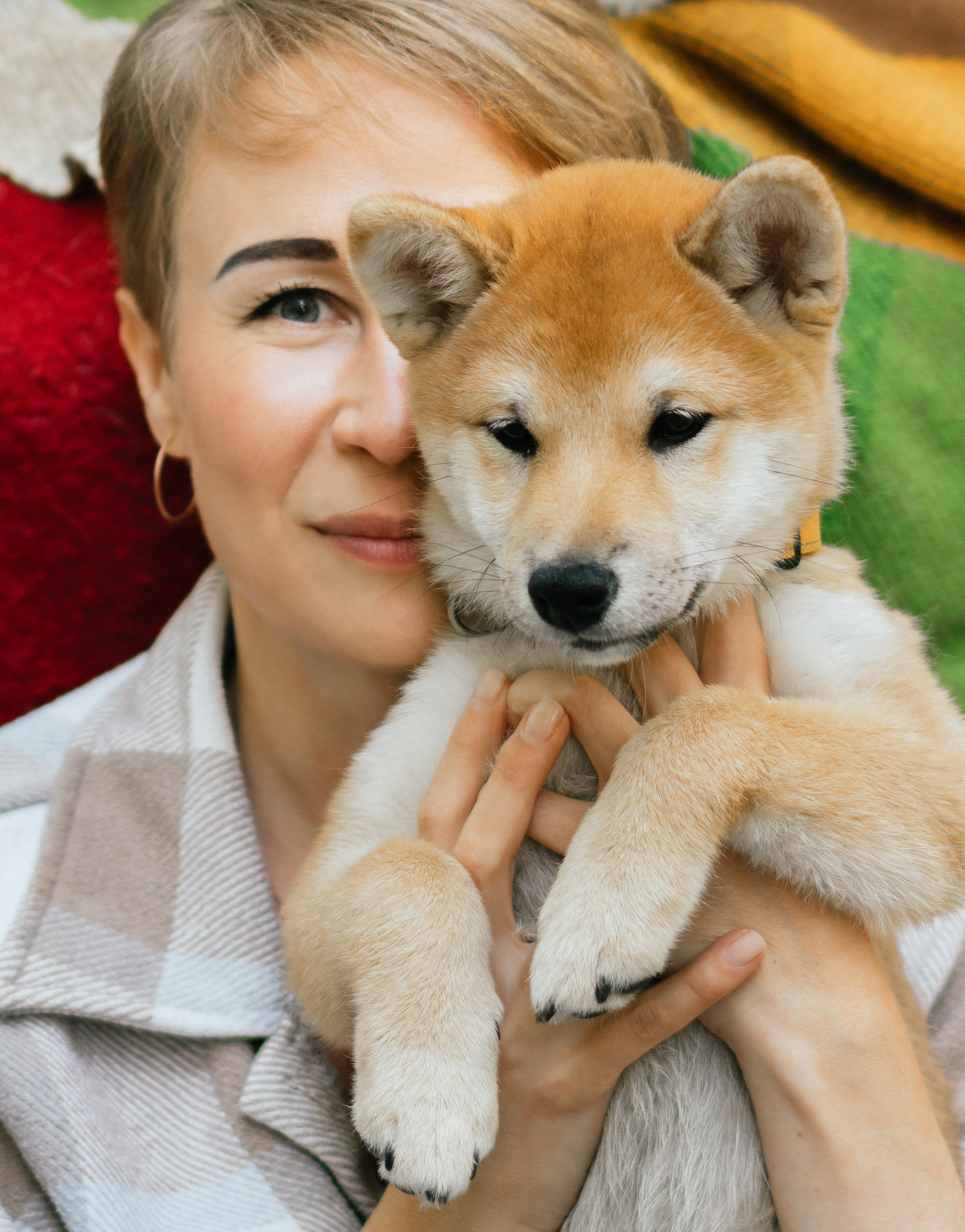 Любимые питомцы. Живые снимки! Фотограф Даша Бендер