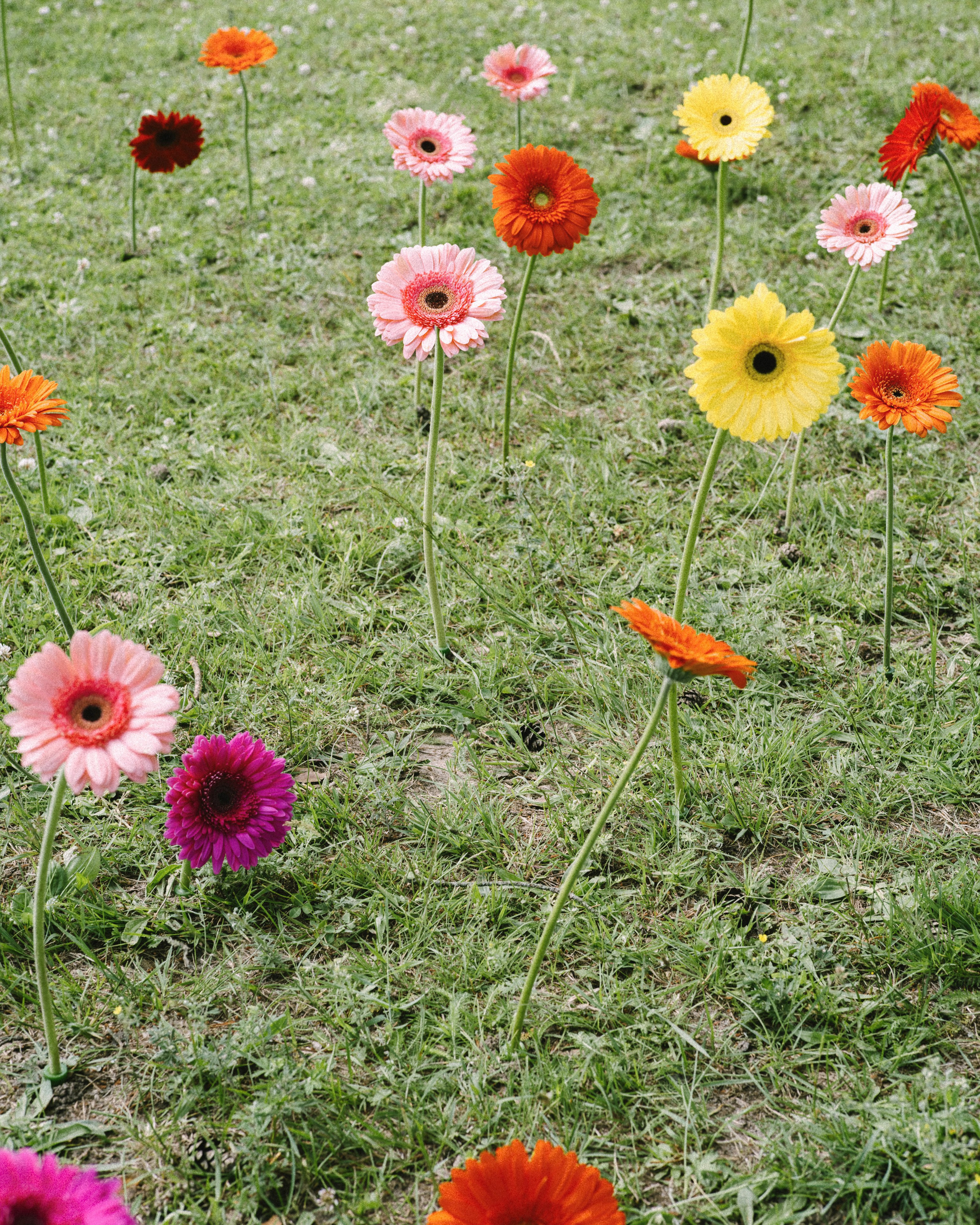 Сева и Маша. Свадебный фотограф в Москве Денис Анурьев