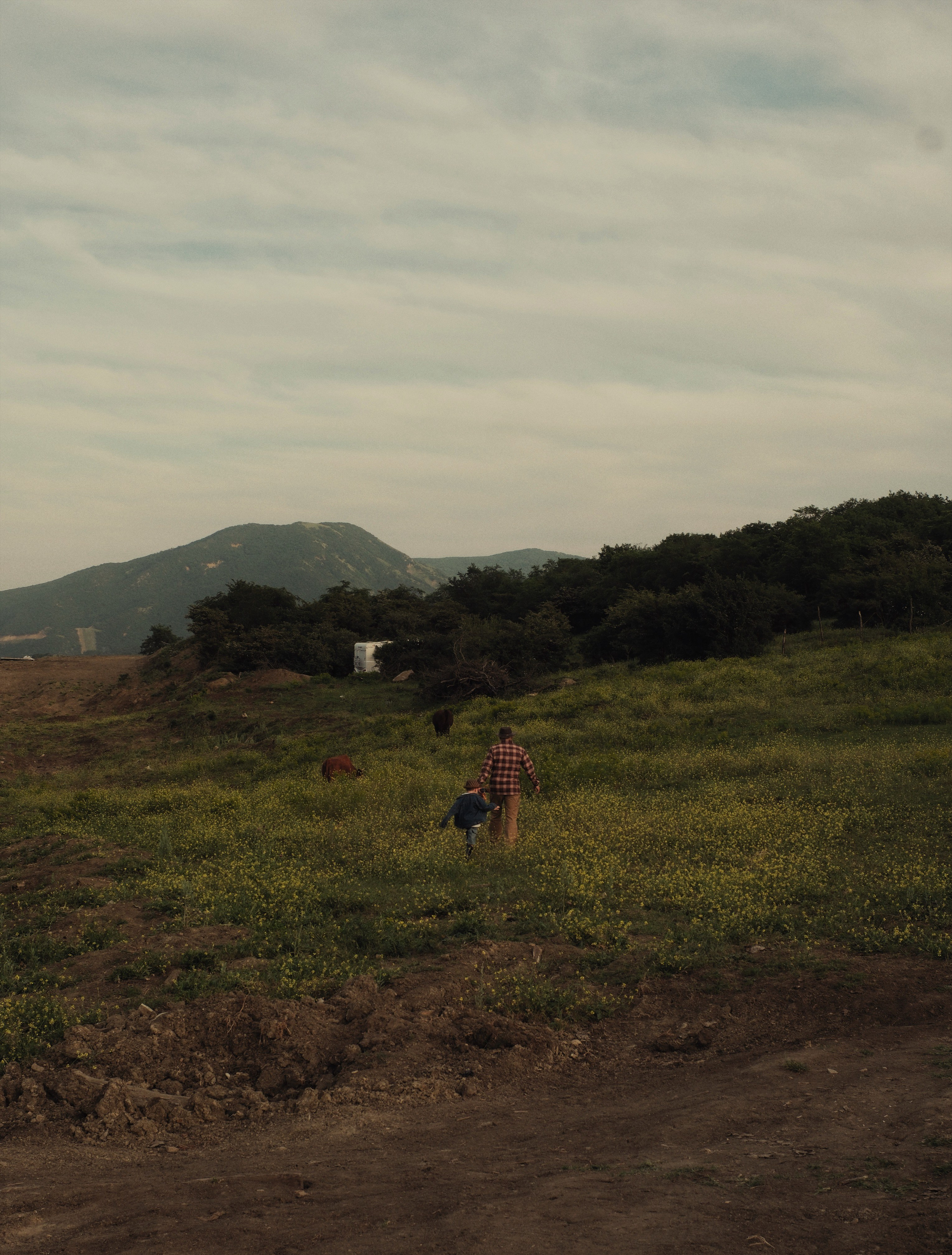 Семейная. SaidaOsmann