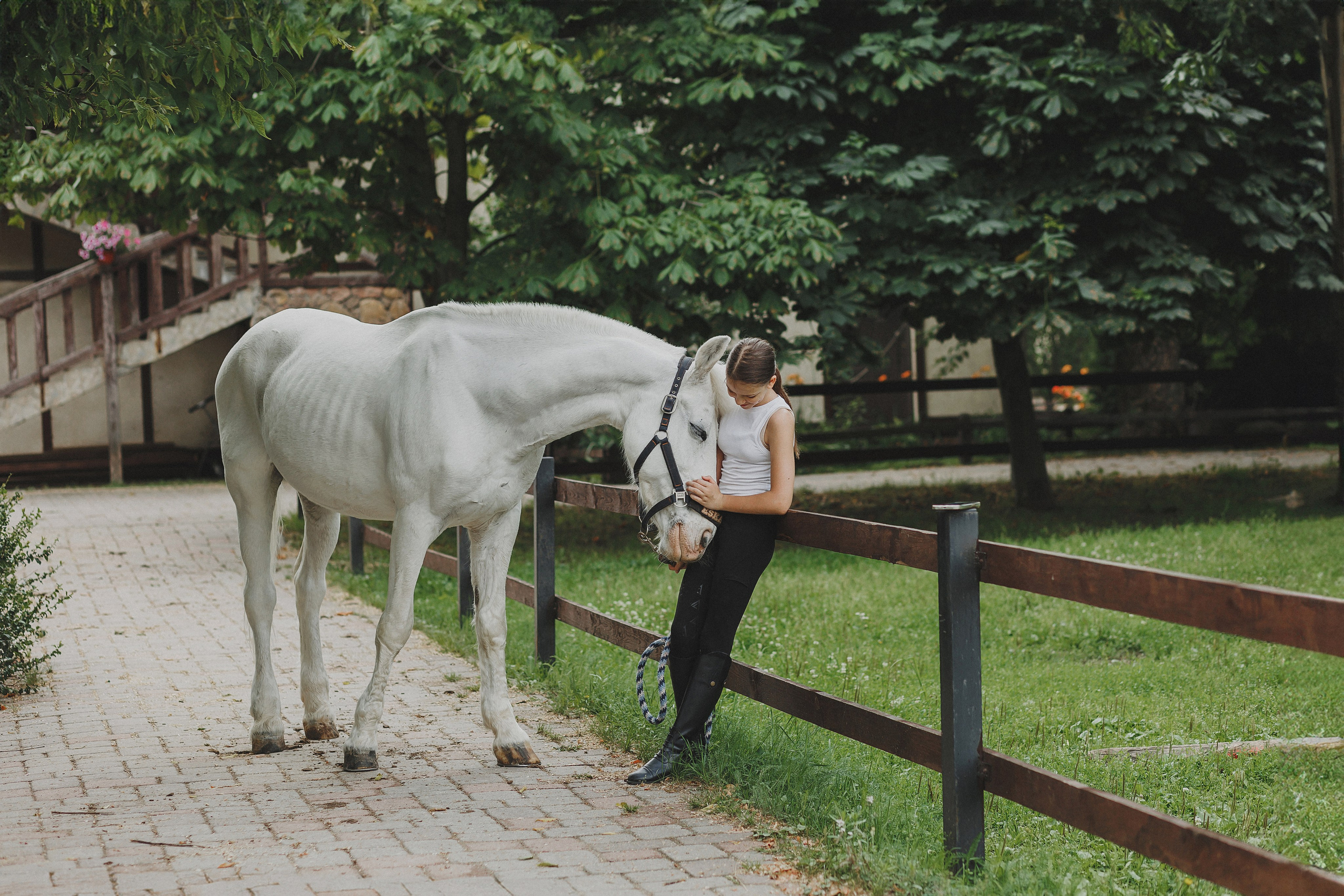 Фотосессия с конем. Фотограф в Москве и Люберцах Анна Ушакова