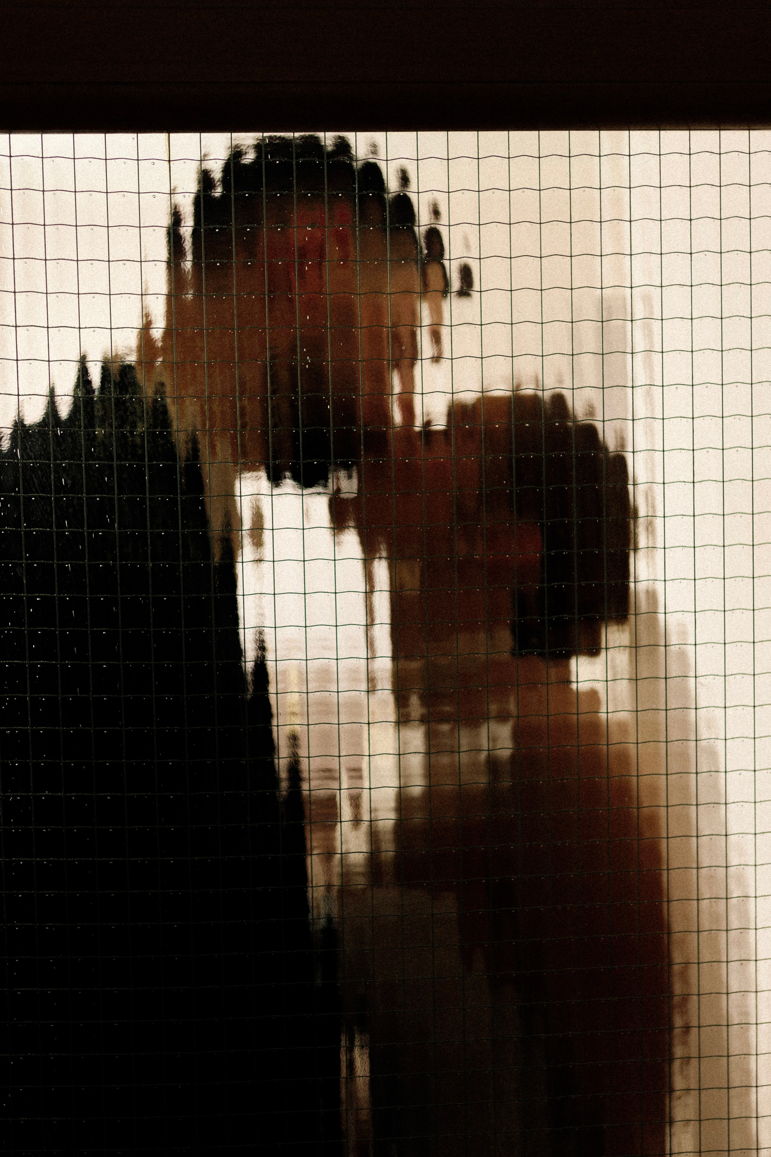 Sonya & Vova. Свадебный фотограф Москва и ЮГ