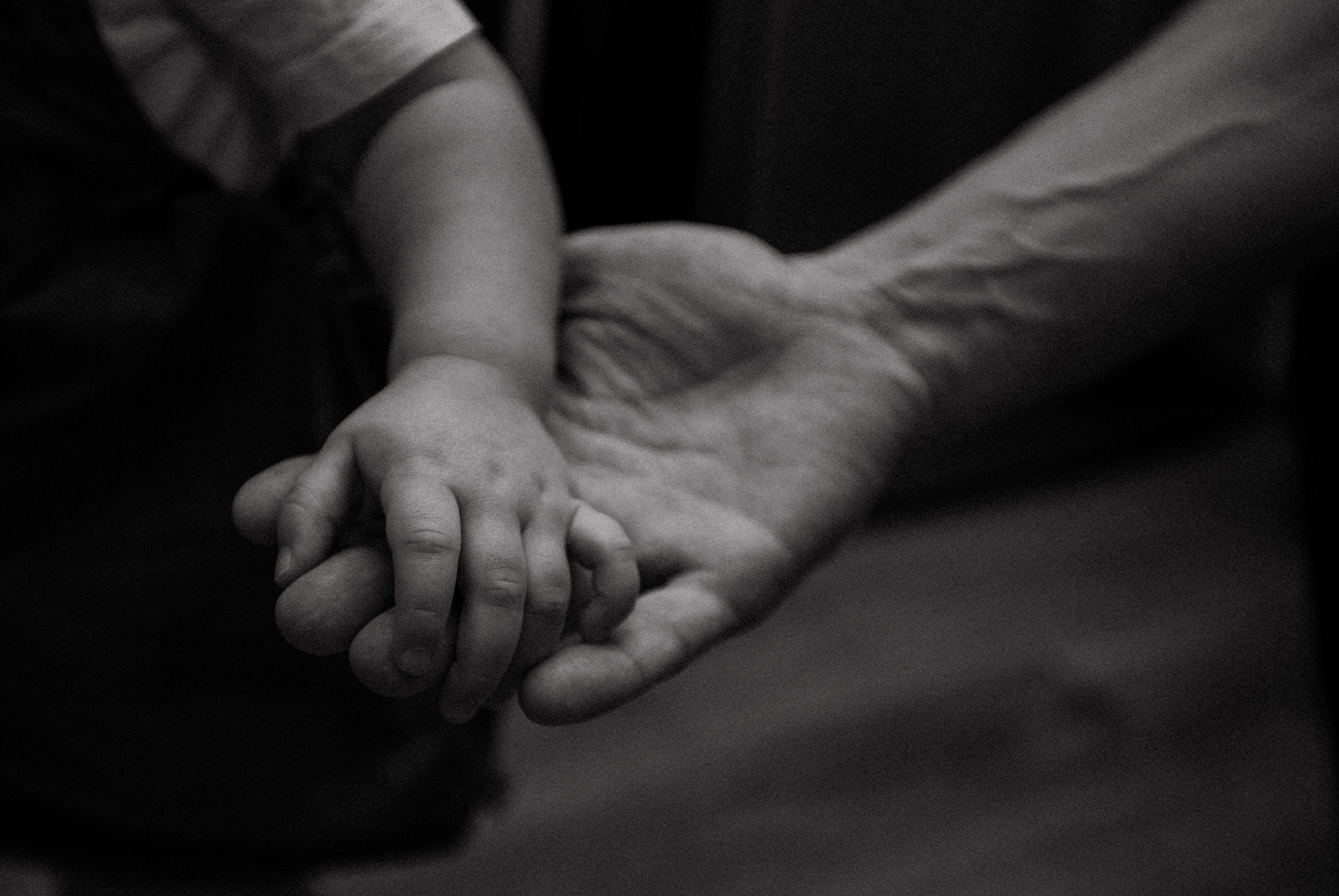 Василиса. Свадебный фотограф Таня Караисаева