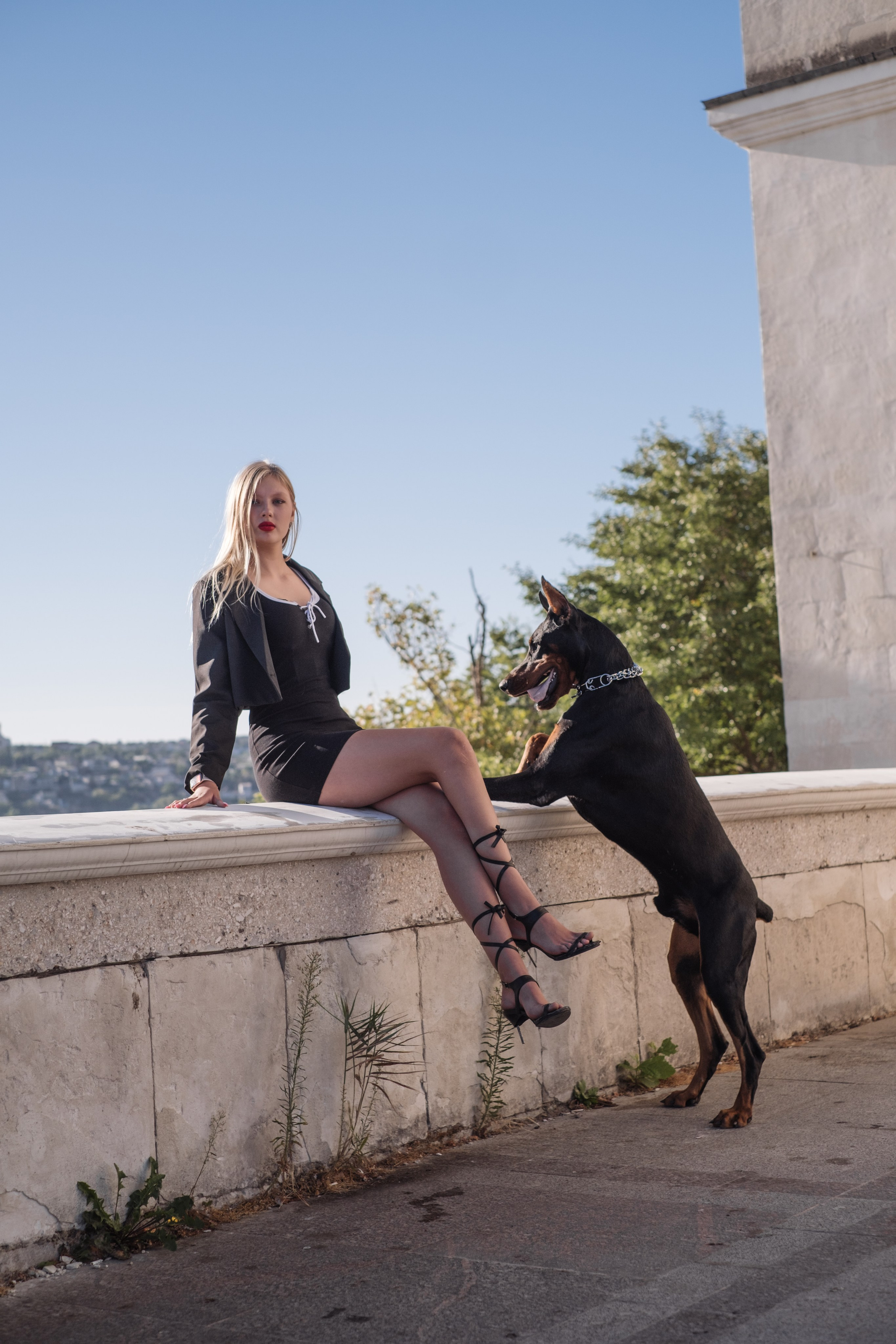 Фотосессия с Доберманом. Профессиональная фотосъемка в Крыму. Натуральные эмоции и живые кадры. Забронируйте дату прямо сейчас!