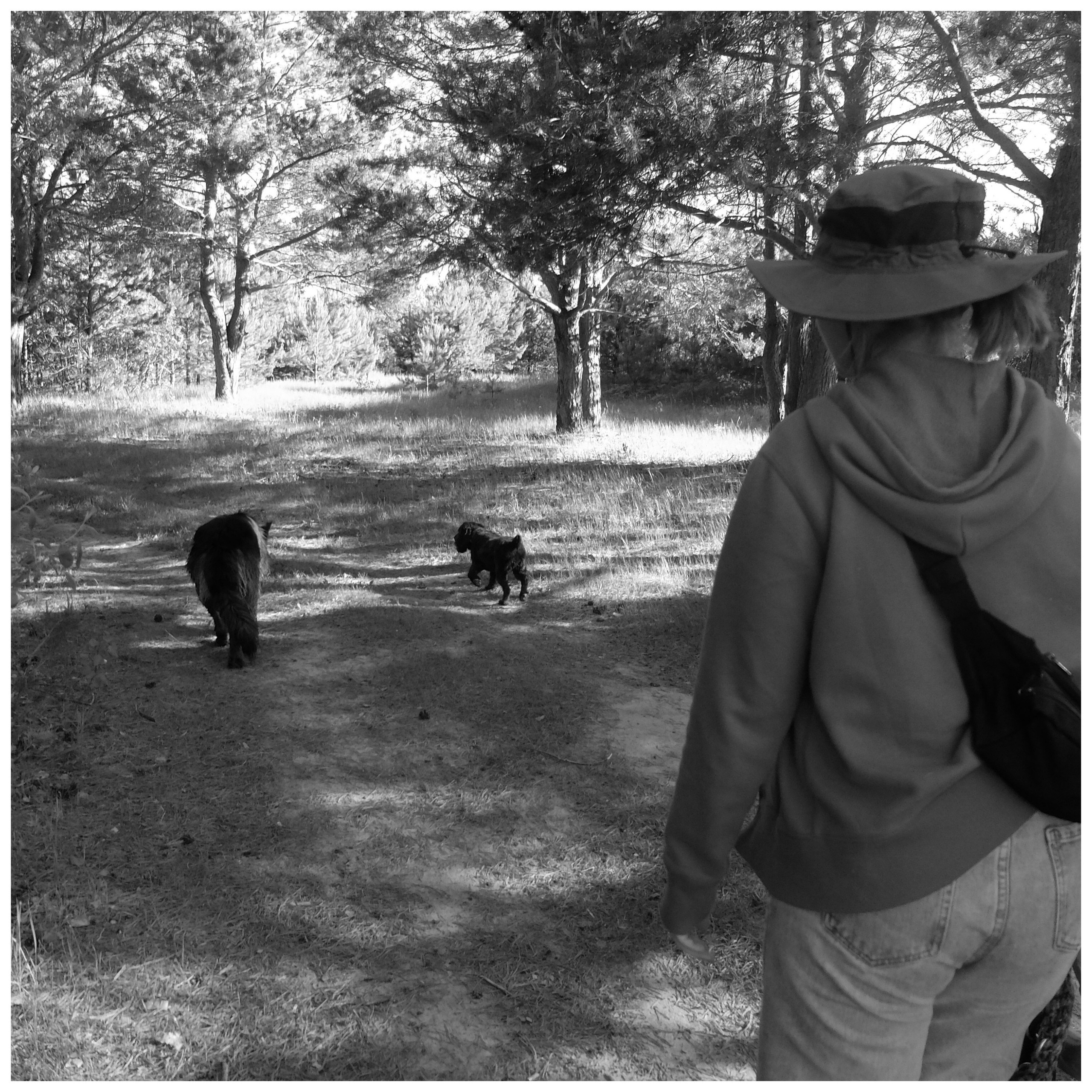 Промежуточные моменты (2022)